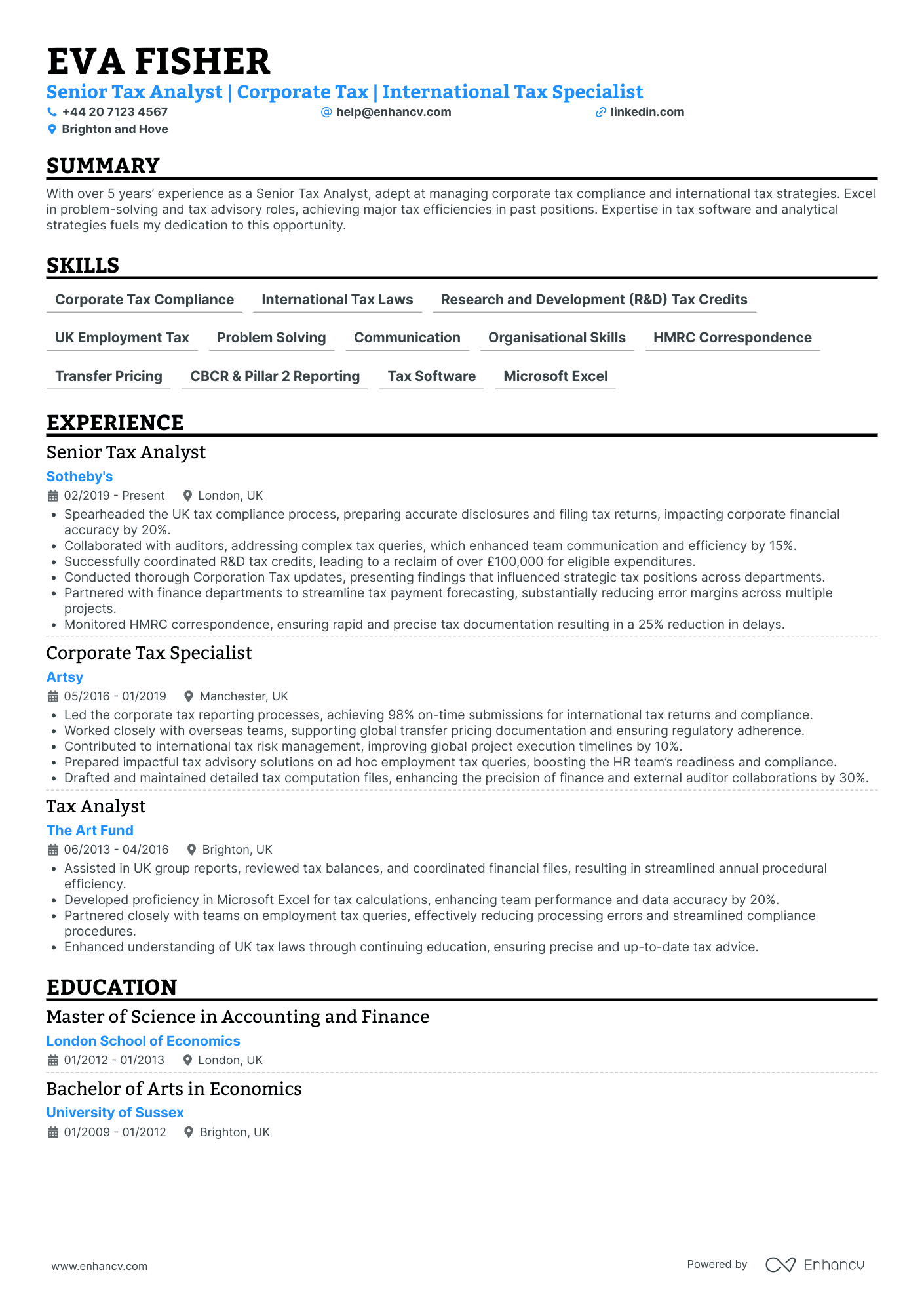 Tax Auditor Resume Example