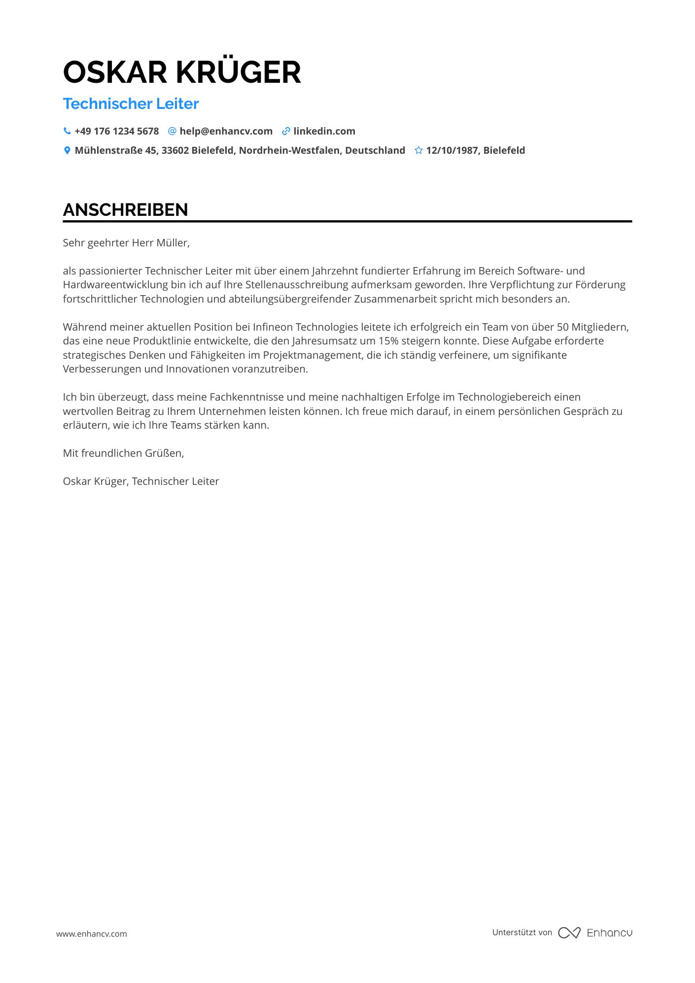 Erfahrener Technischer Leiter Resume Example