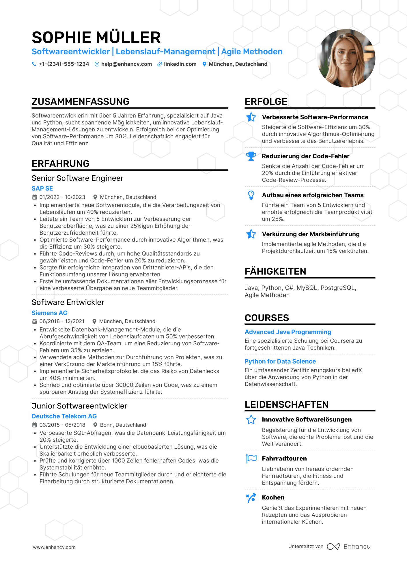 Lebenslauf Software Entwickler Resume Example