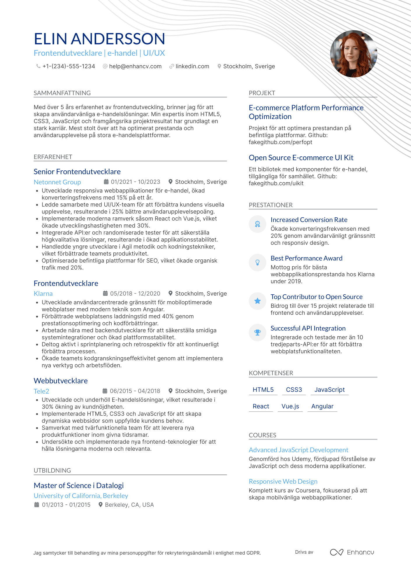 CV för Frontendutvecklare inom e handel Resume Example