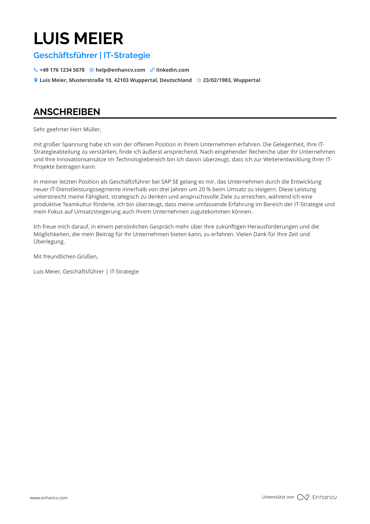 Geschäftsführer in der IT Branche Resume Example