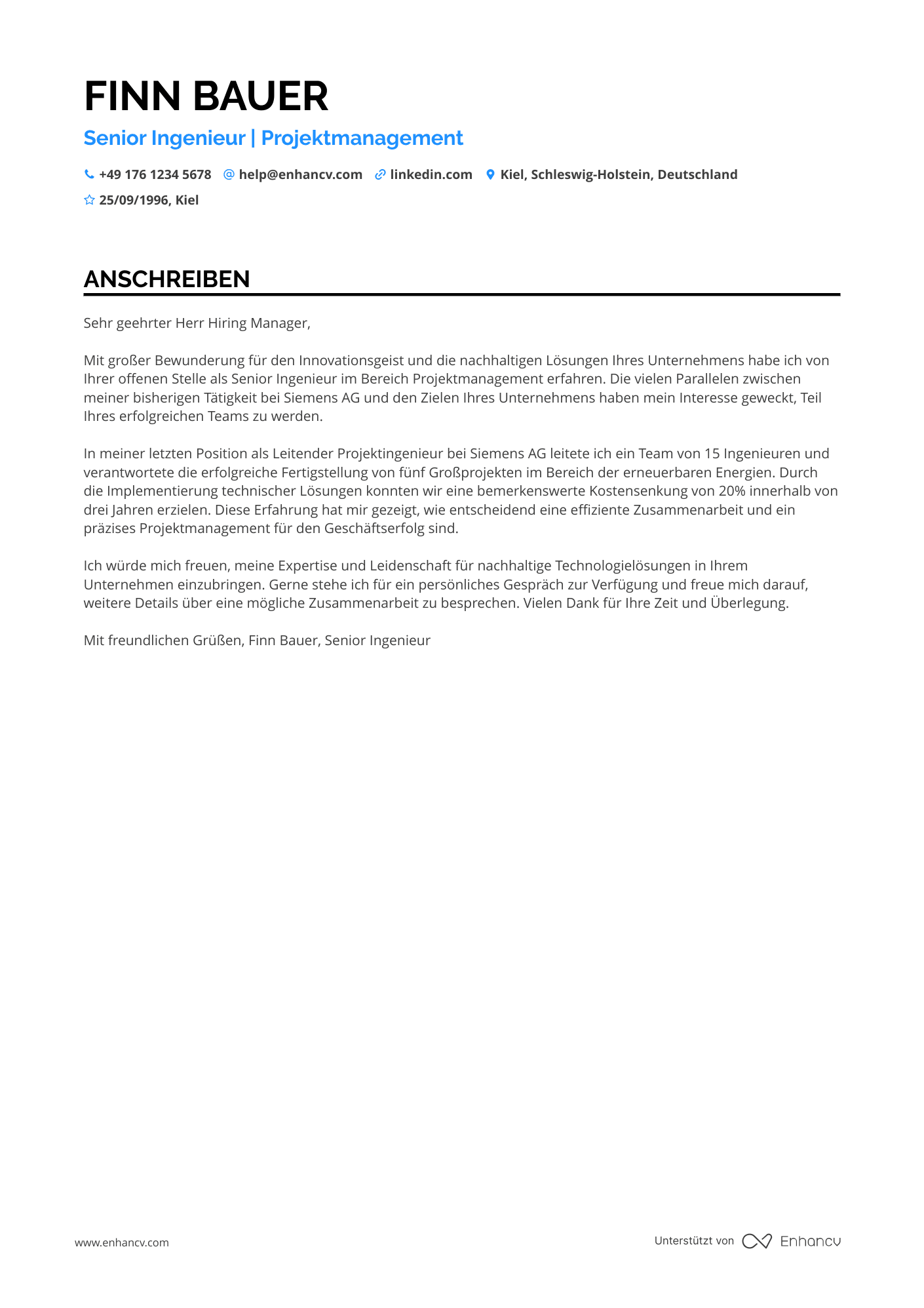 Ingenieur mit Managementerfahrung Resume Example