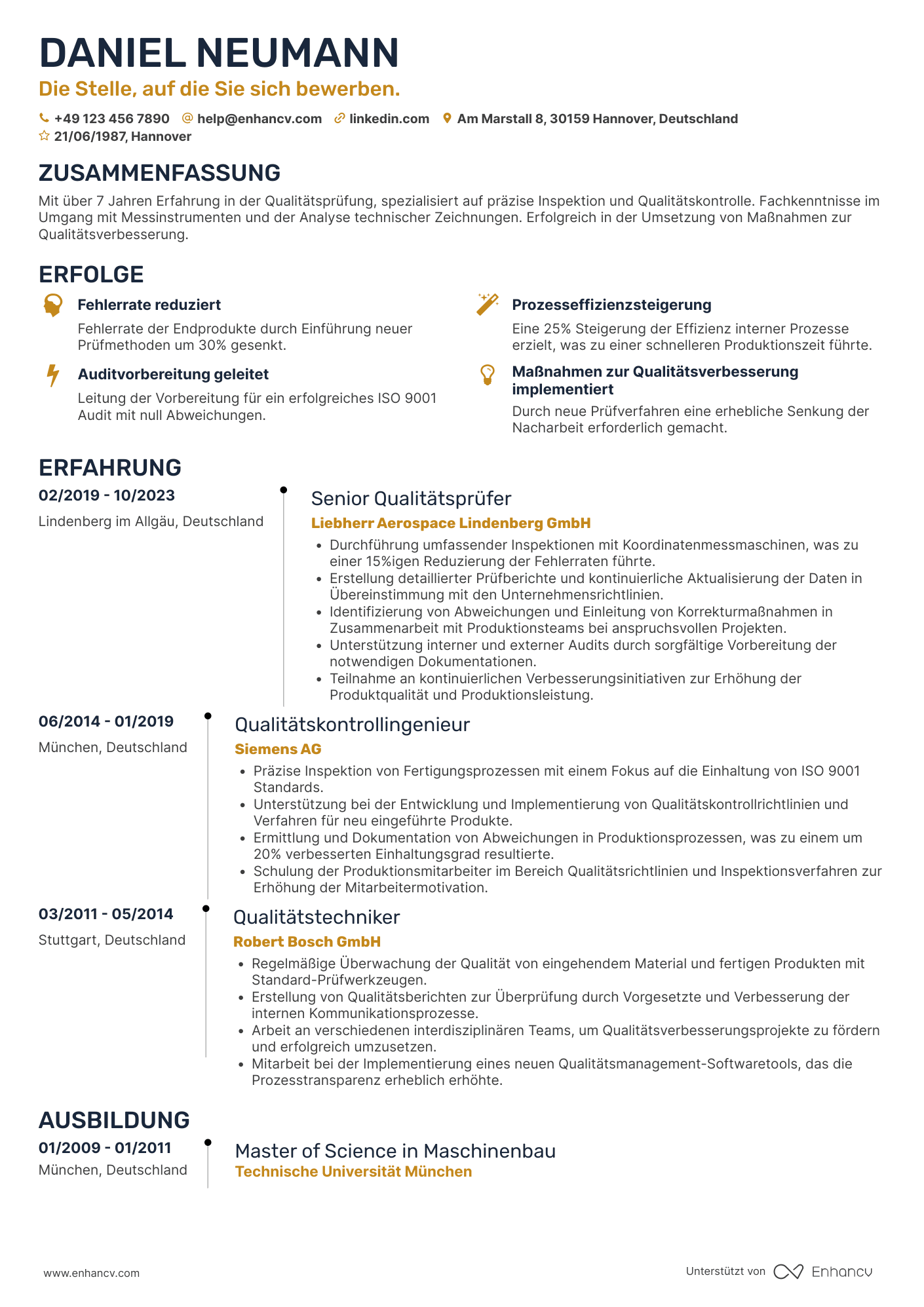 Lebenslauf als Prüfer mit Berufserfahrung Resume Example