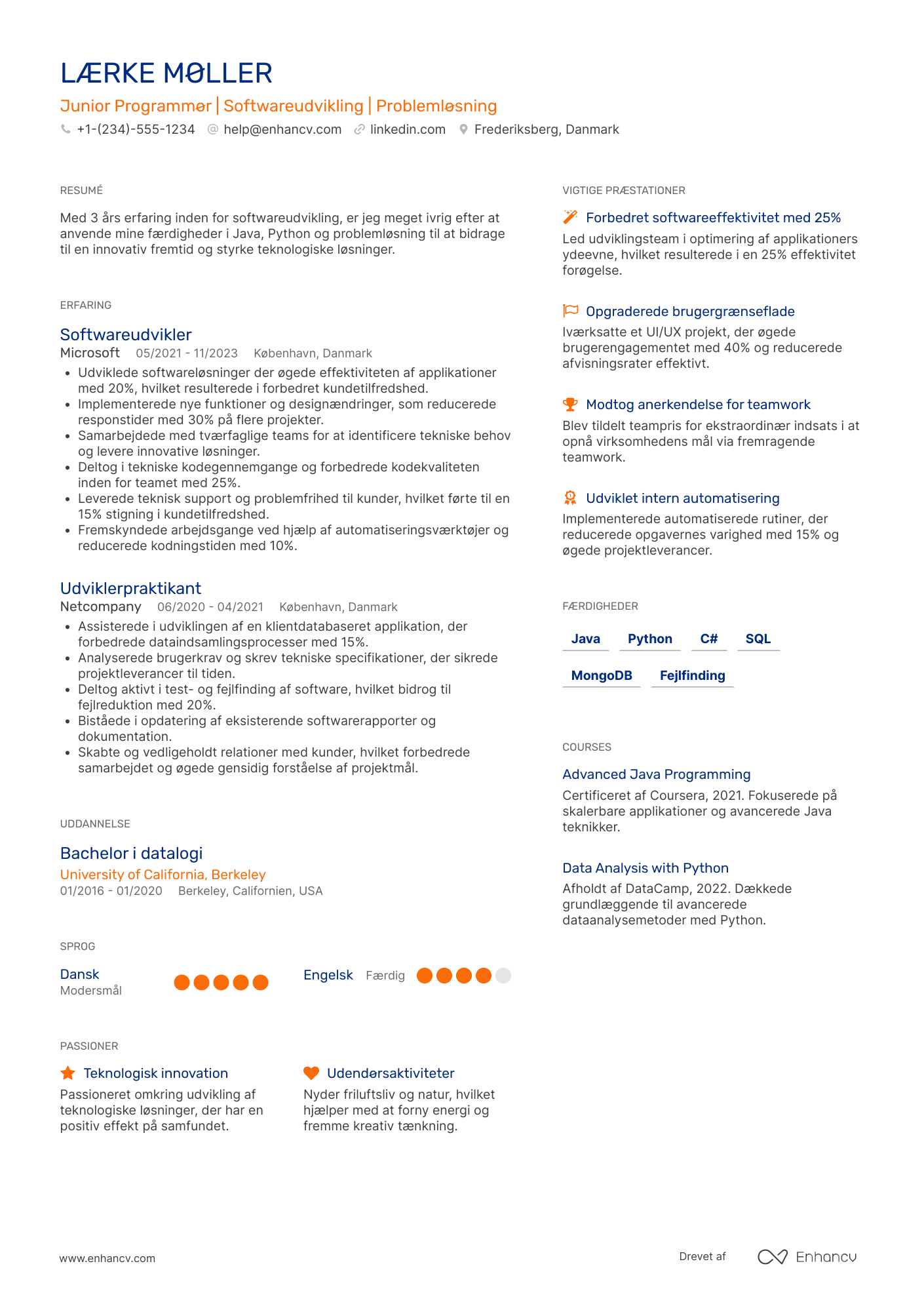 CV til Junior Programmør Resume Example