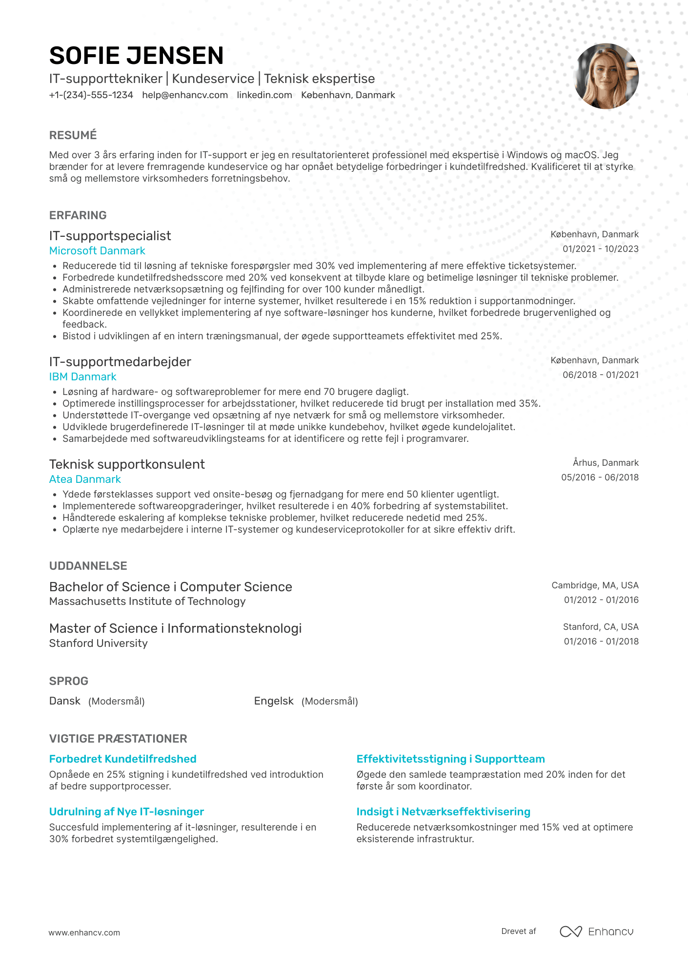 CV til IT supporttekniker Resume Example