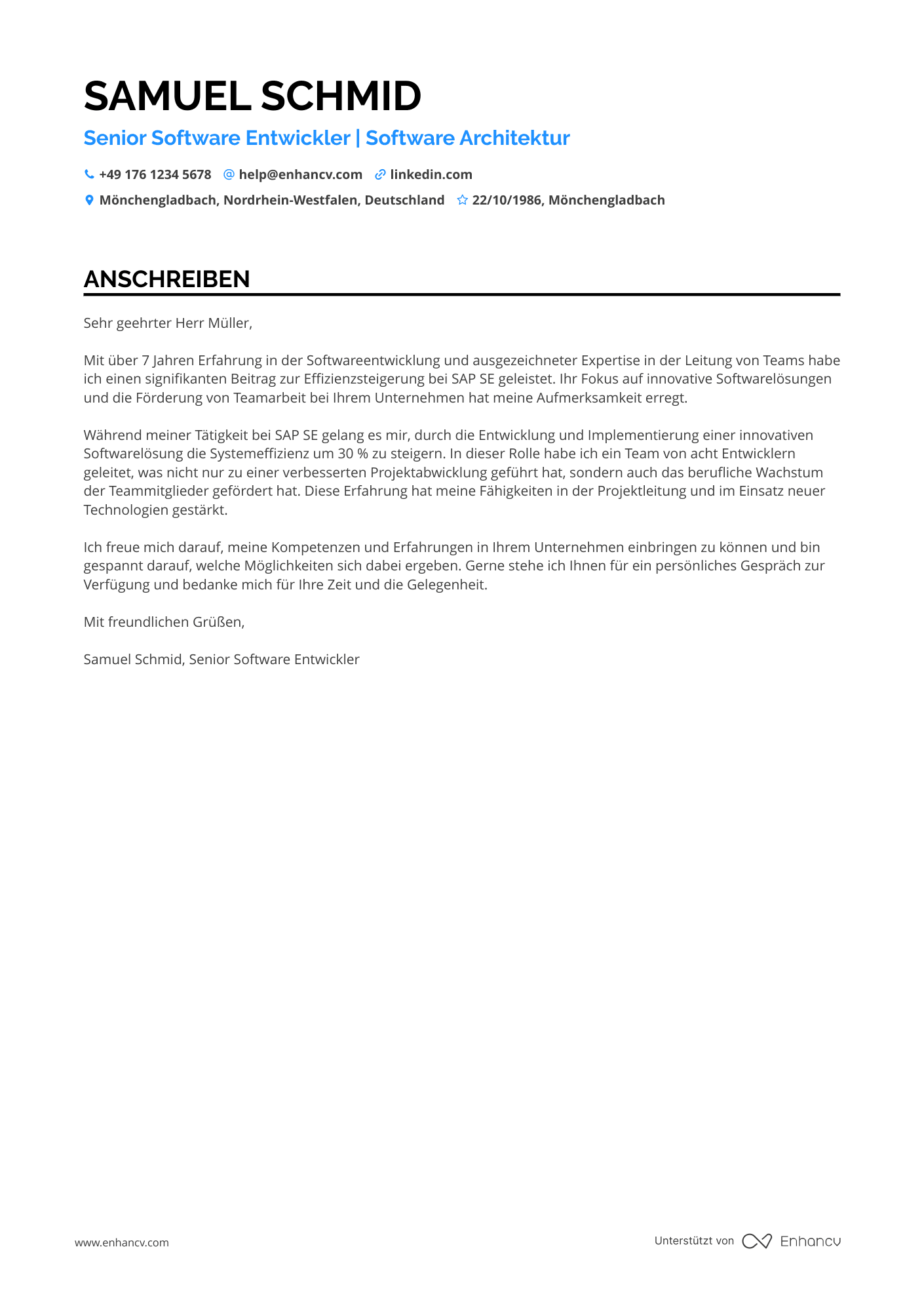 Senior Programmierer Resume Example