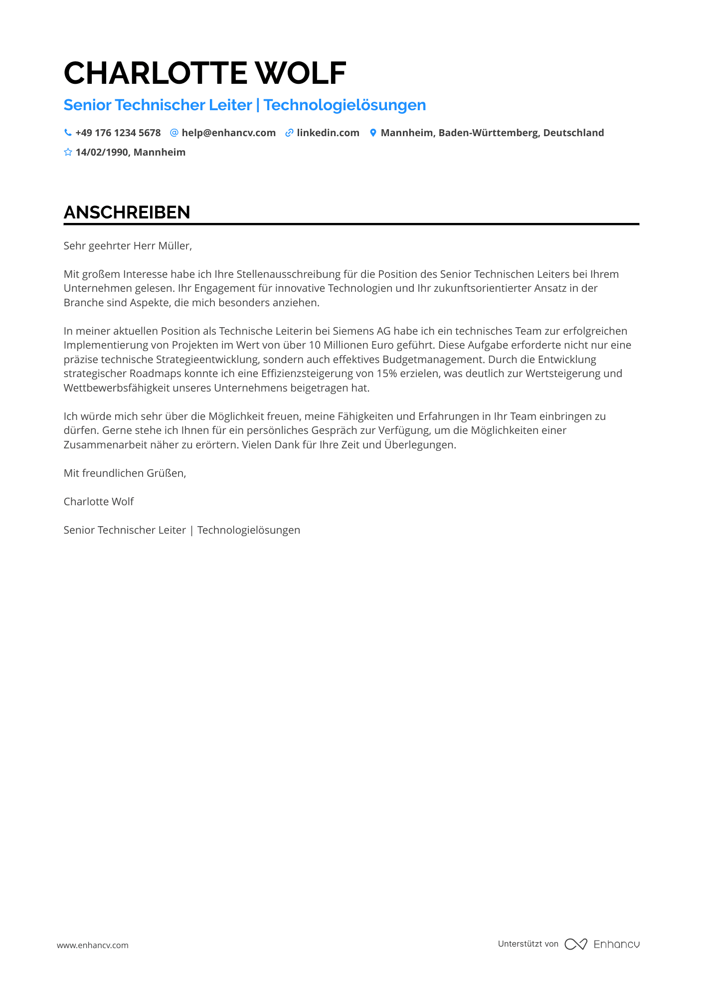 Senior Technischer Leiter Resume Example
