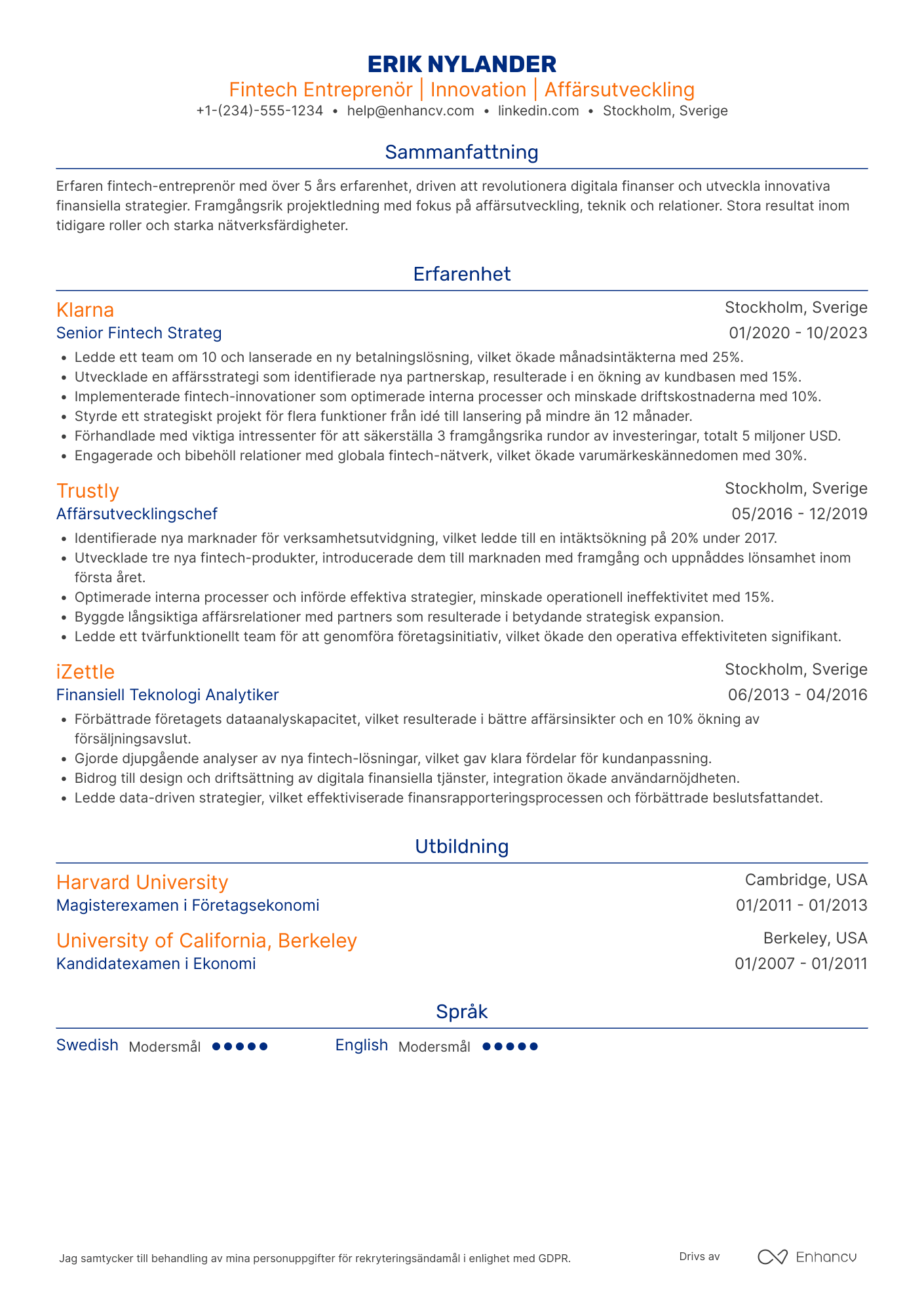 CV för Fintech entreprenör Resume Example