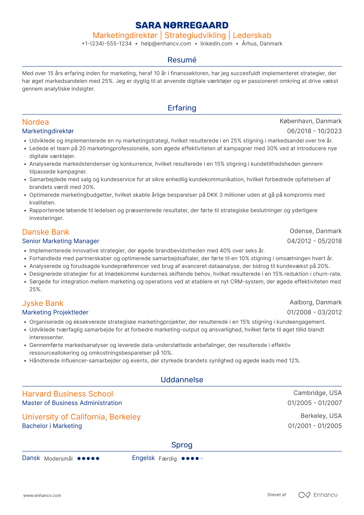 CV til Marketingdirektør i finanssektoren Resume Example