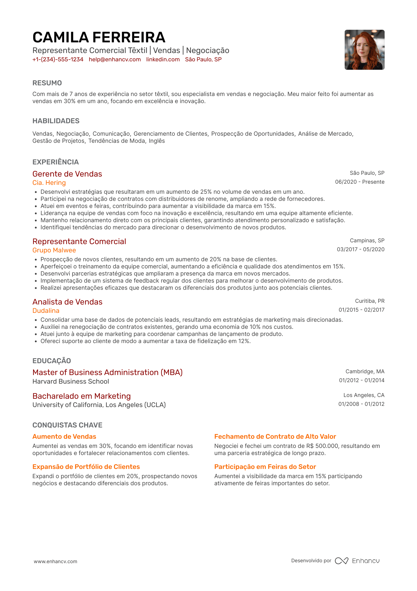 Representante comercial têxtil e de confecções Resume Example