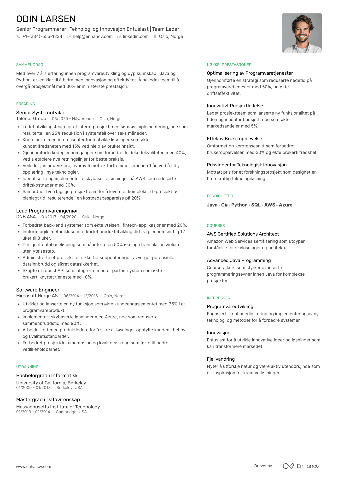 CV for Senior Programmerer Resume Example