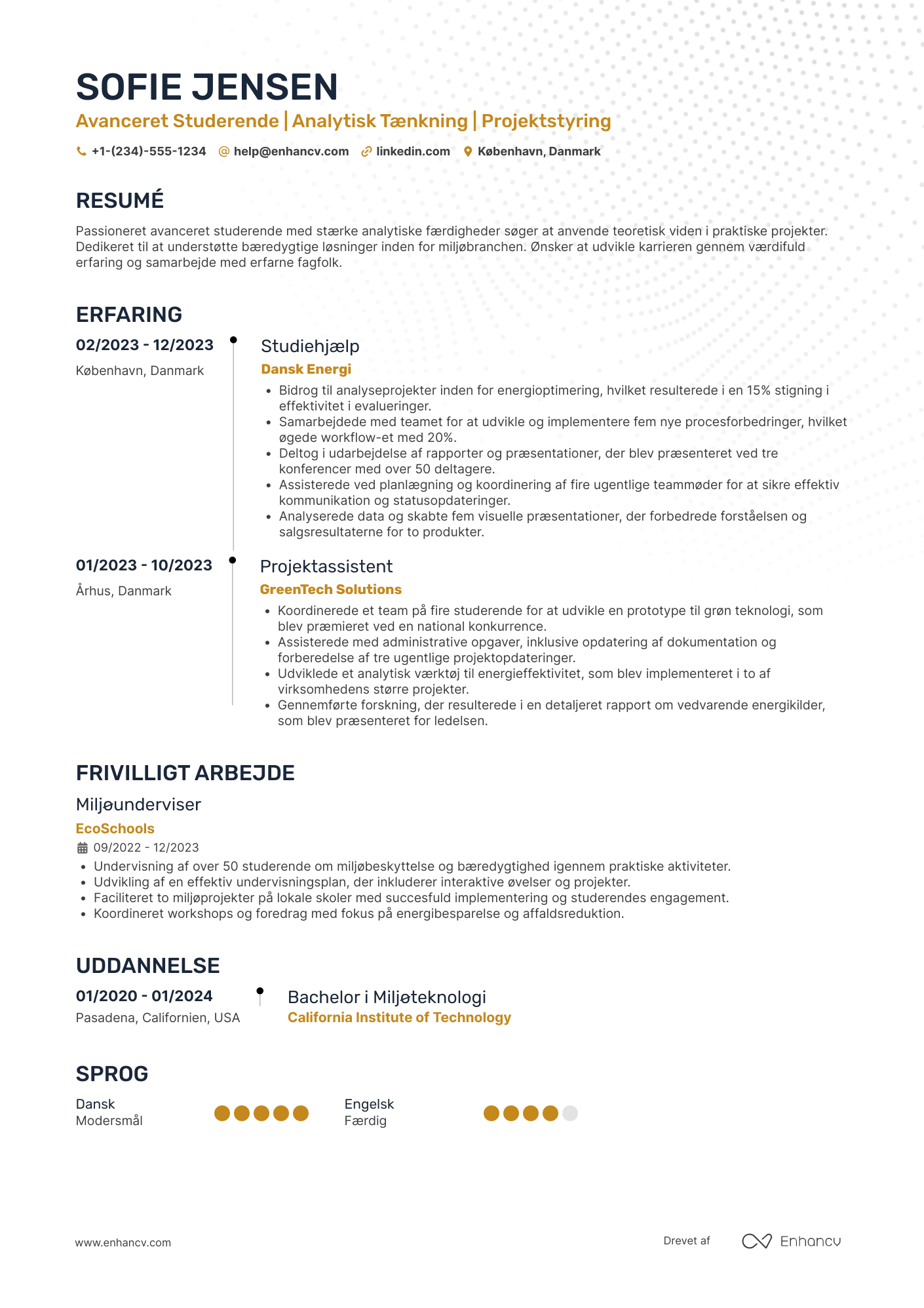 CV til Avanceret Studerende Resume Example