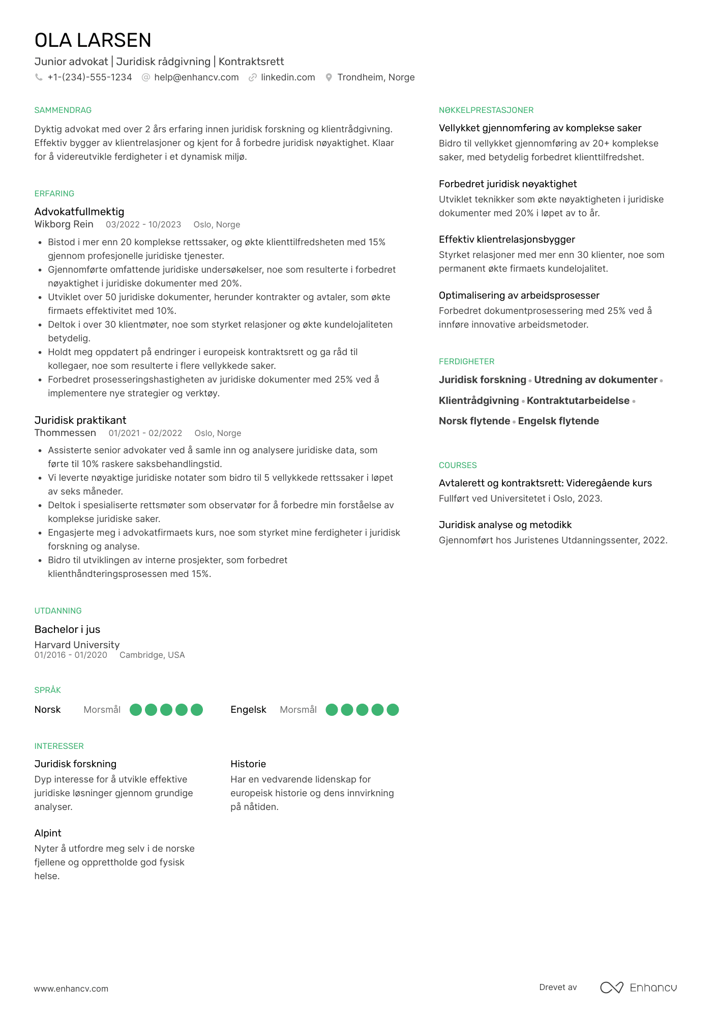 CV for Junior advokat Resume Example