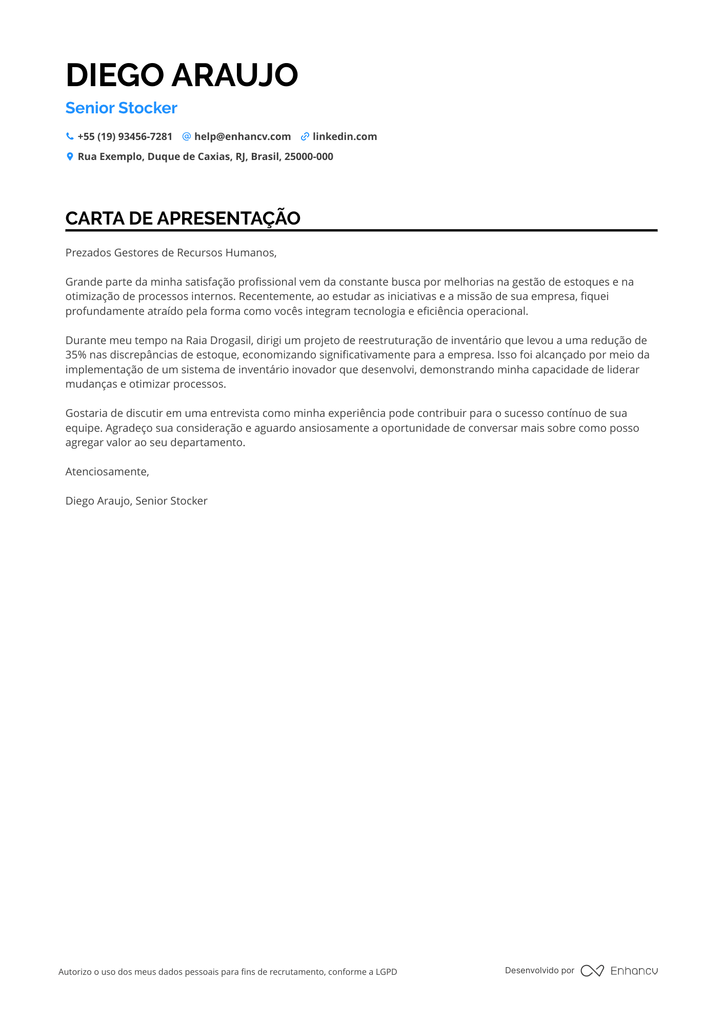 Estoquista Sênior Resume Example