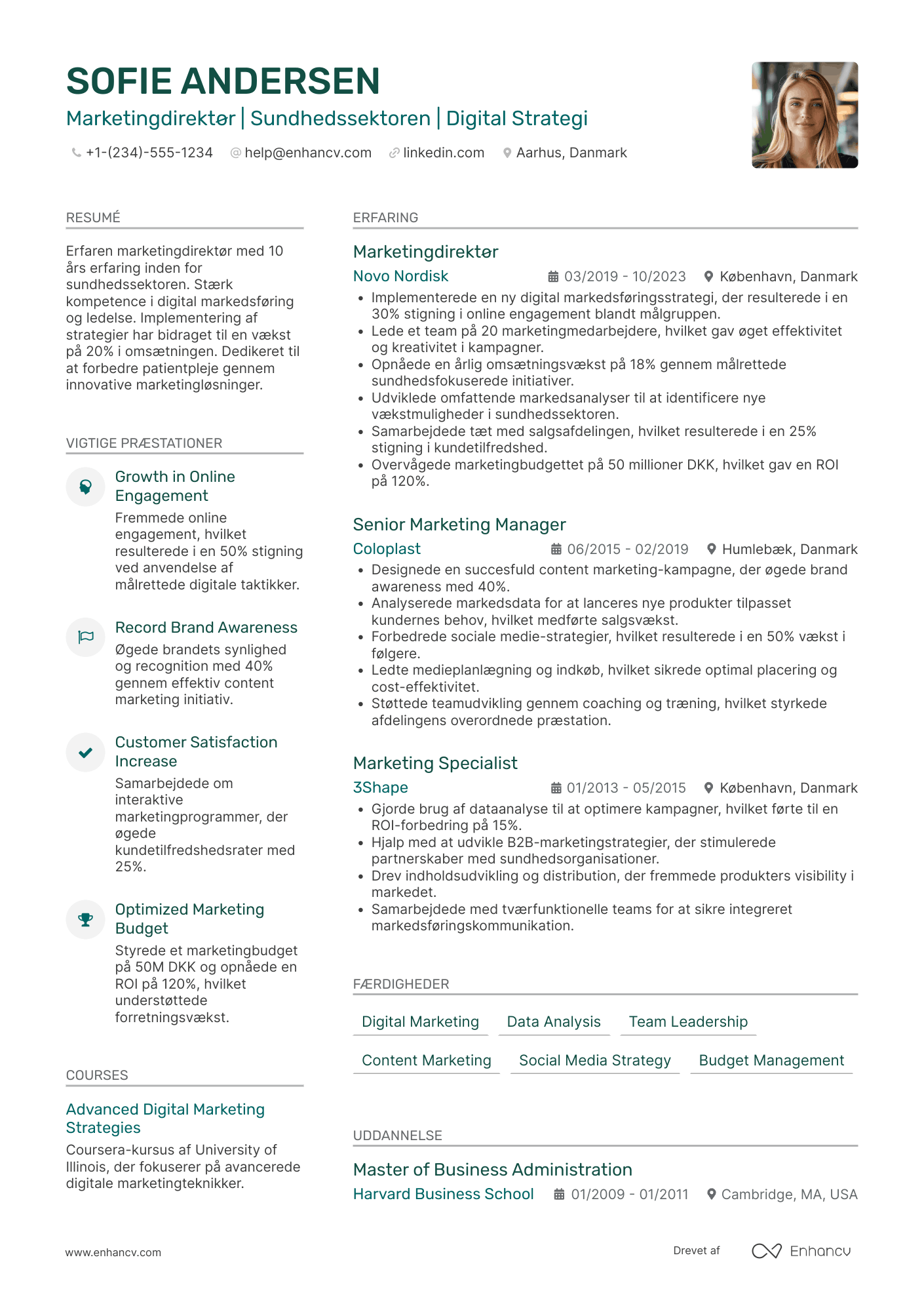 CV til Marketingdirektør i sundhedssektoren Resume Example