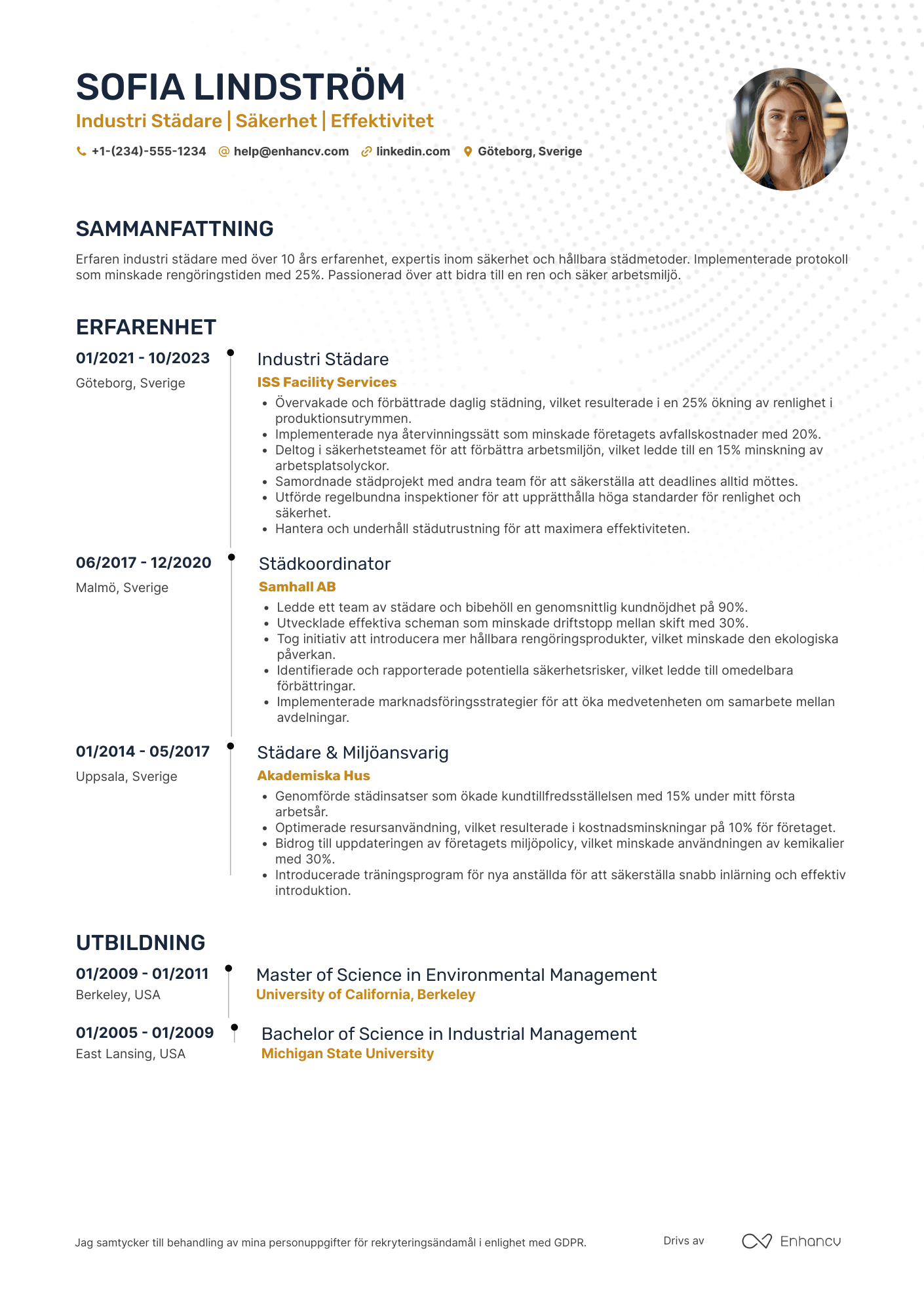 CV för Industri Städare Resume Example
