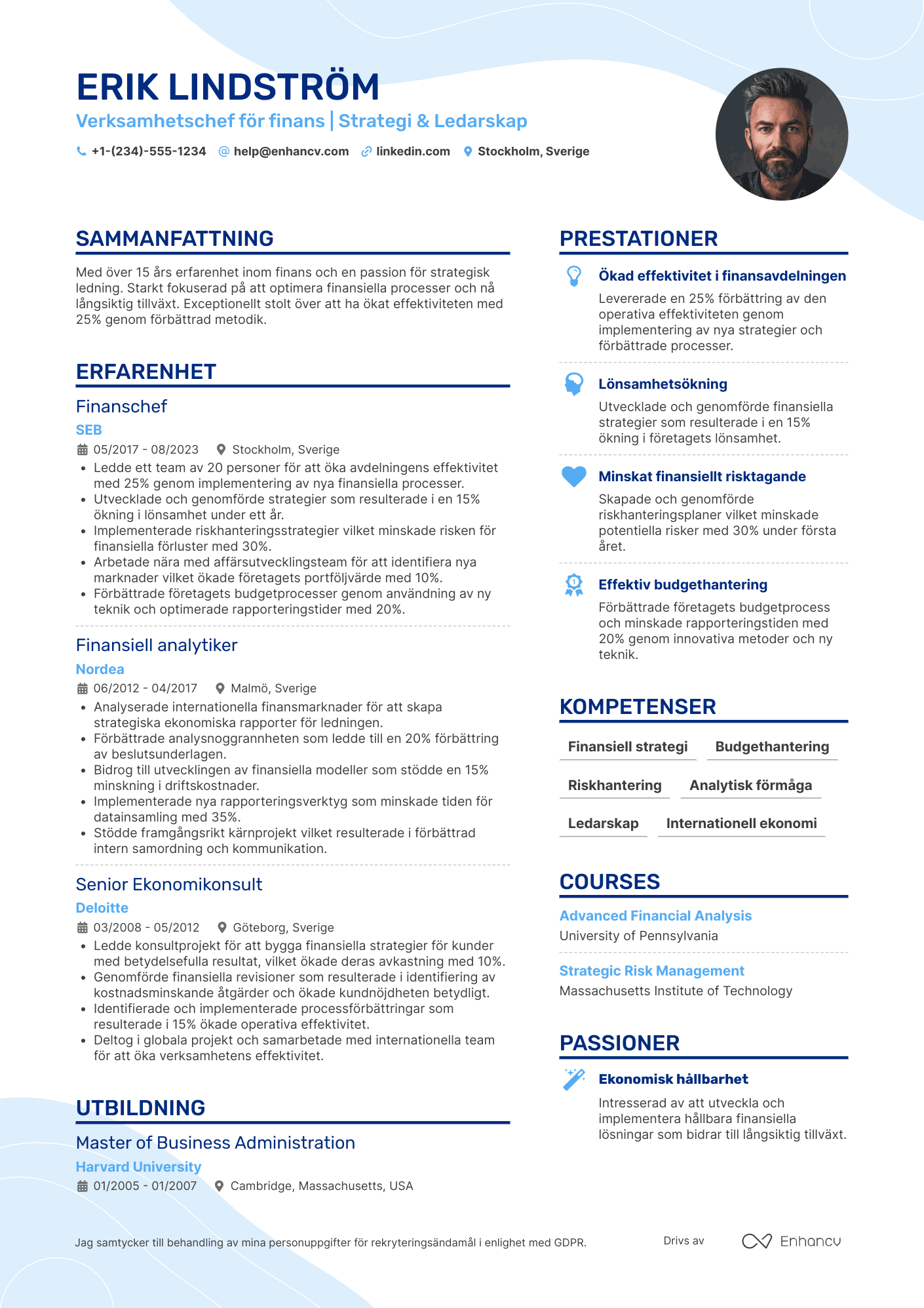 CV för Verksamhetschef för finans Resume Example