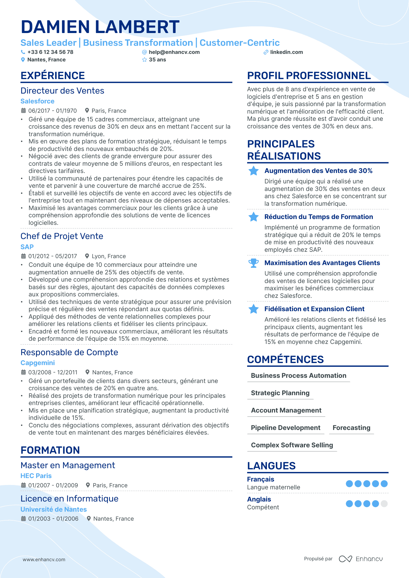 Directeur Commercial National Resume Example