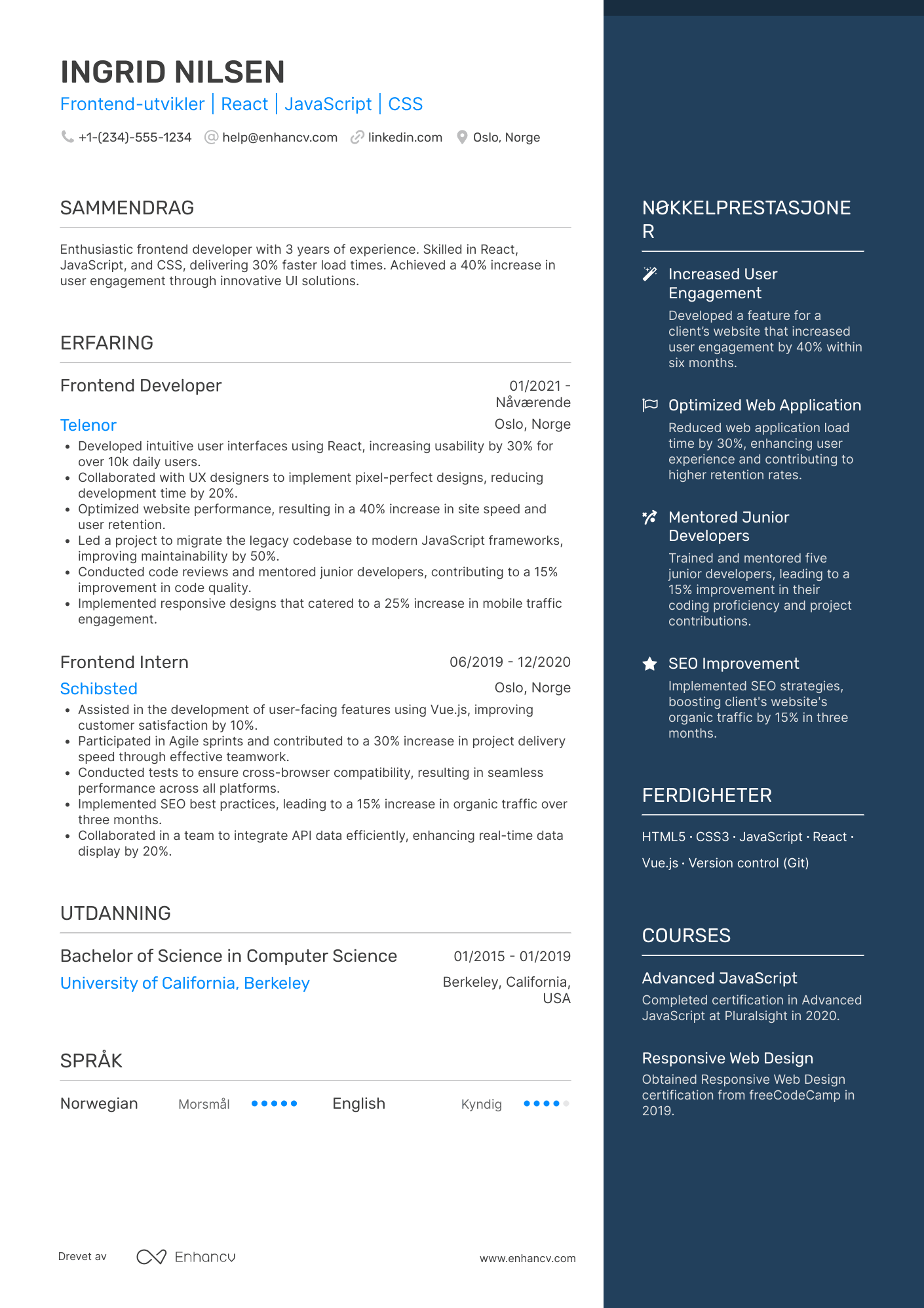 CV for Junior Frontend‑utvikler Resume Example