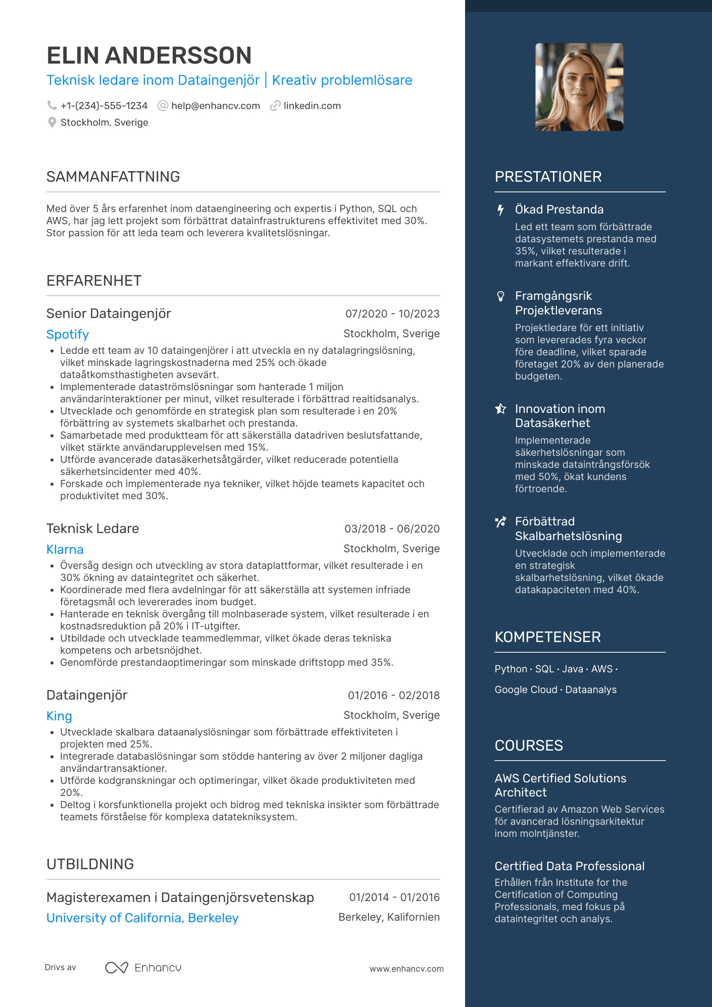 CV för Teknisk ledare Dataingenjör Resume Example