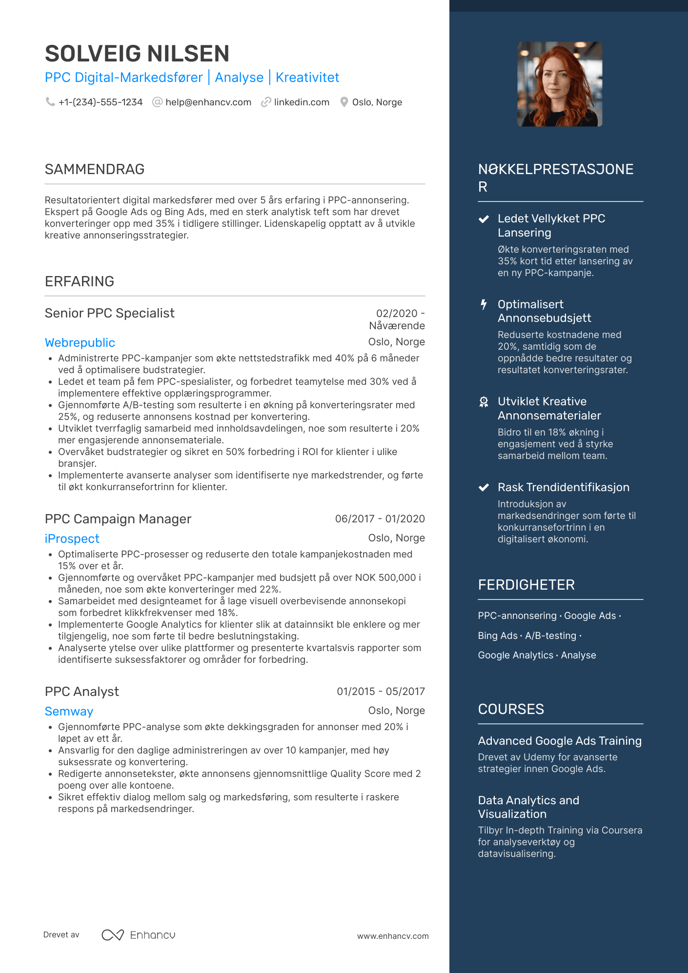 CV for PPC digital markedsfører Resume Example