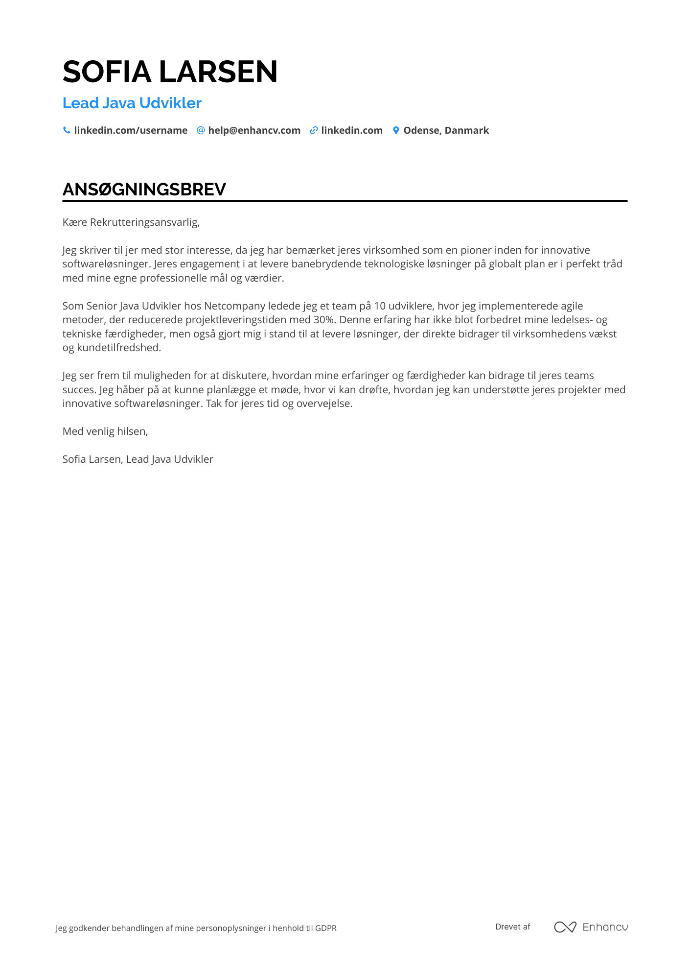 Ansøgningsbrev til Lead Java Udvikler Resume Example
