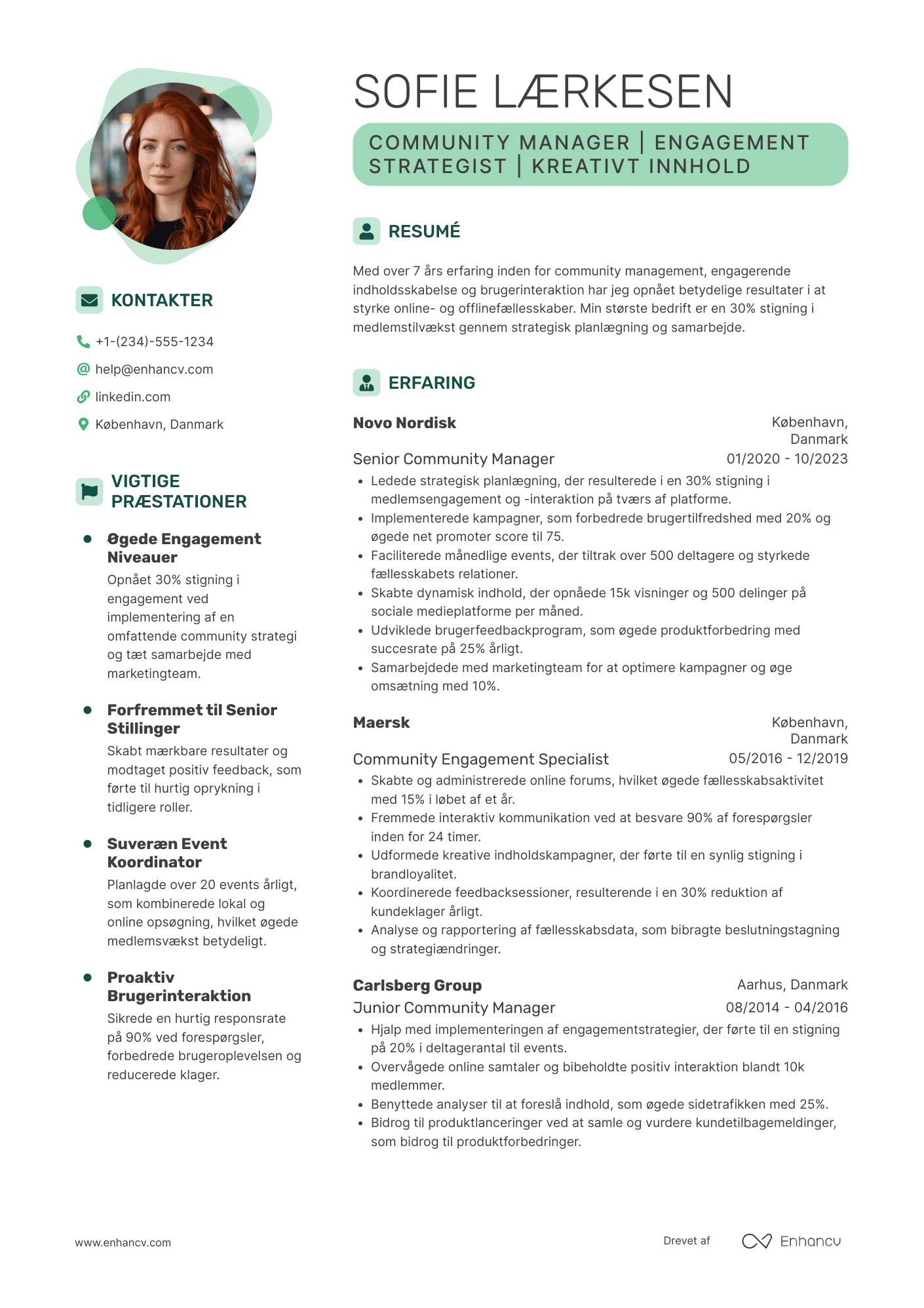 CV til Community Manager Resume Example
