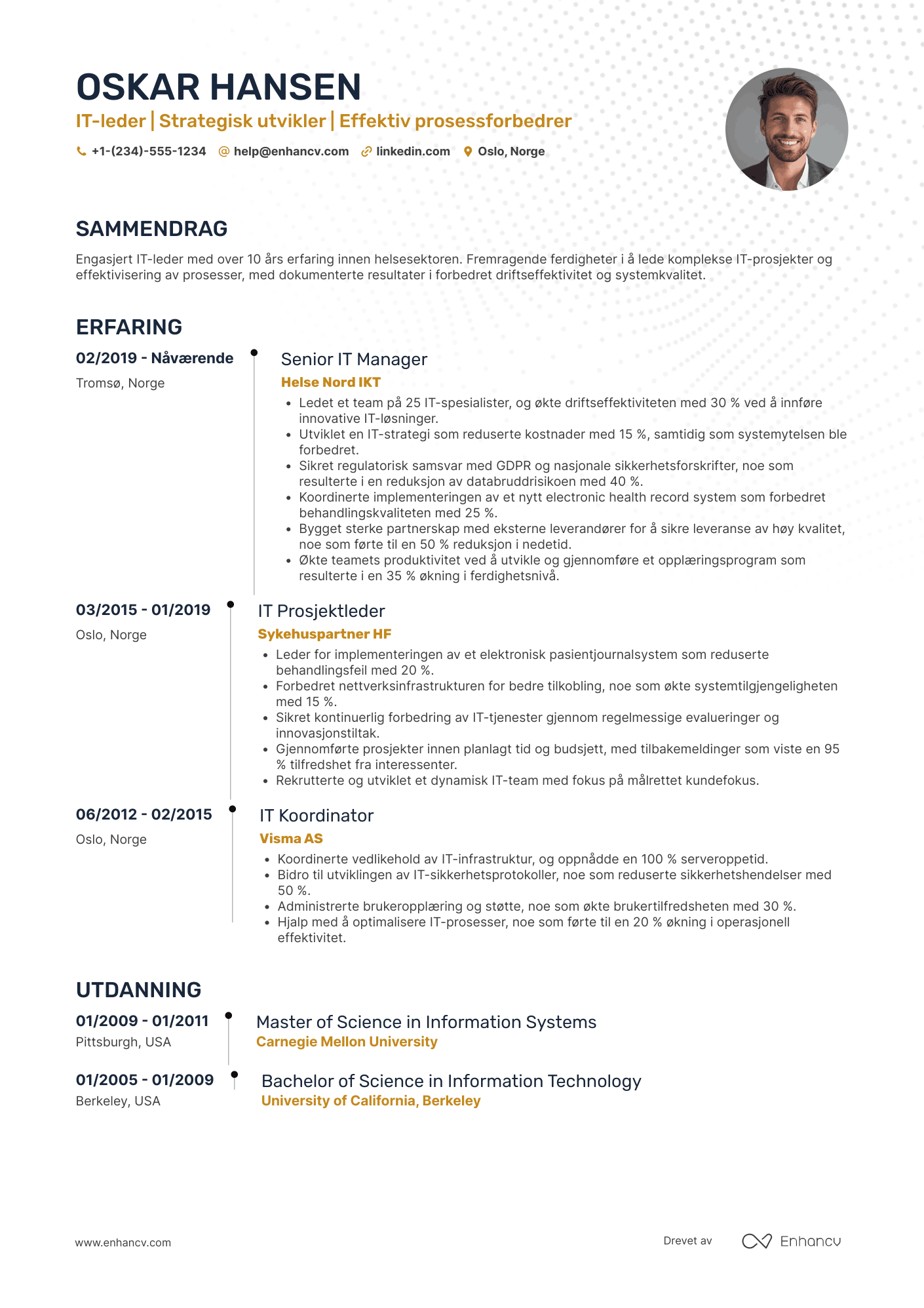 CV for IT leder i helsesektoren Resume Example