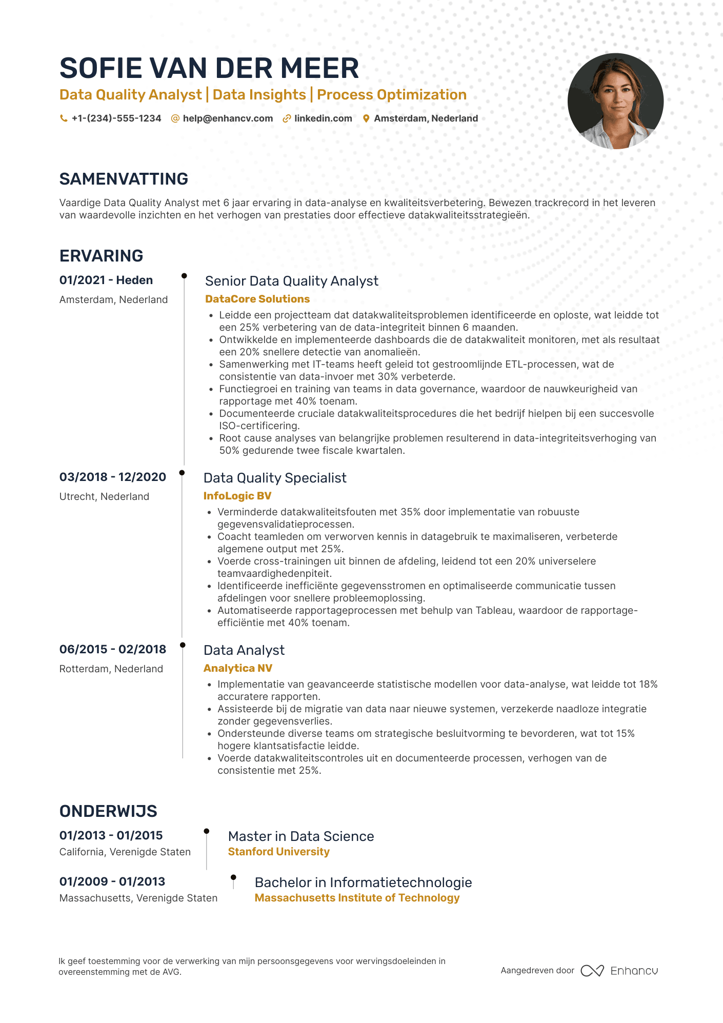 CV voor Data Quality Analyst Resume Example