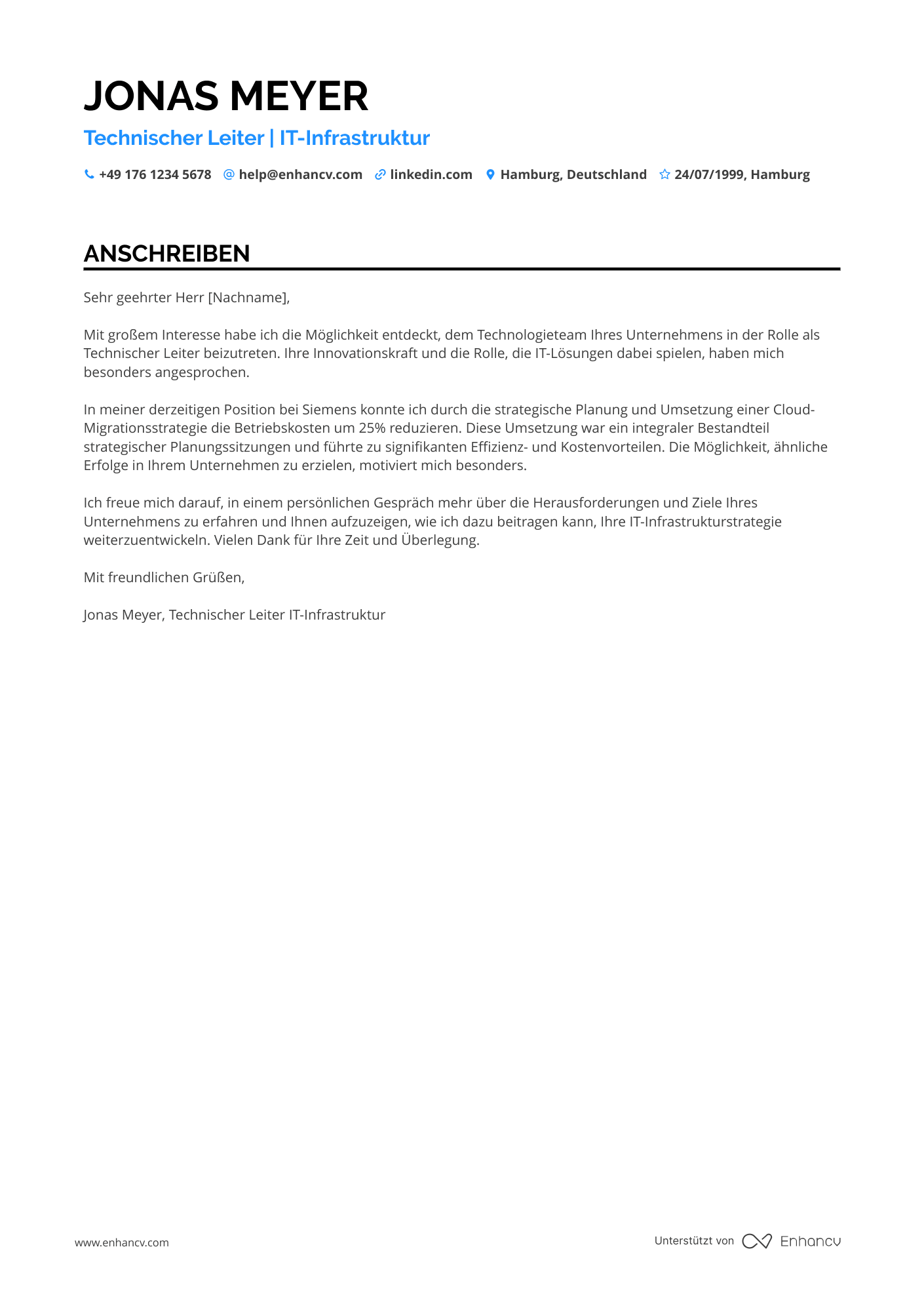 Technischer Leiter für IT Infrastruktur Resume Example