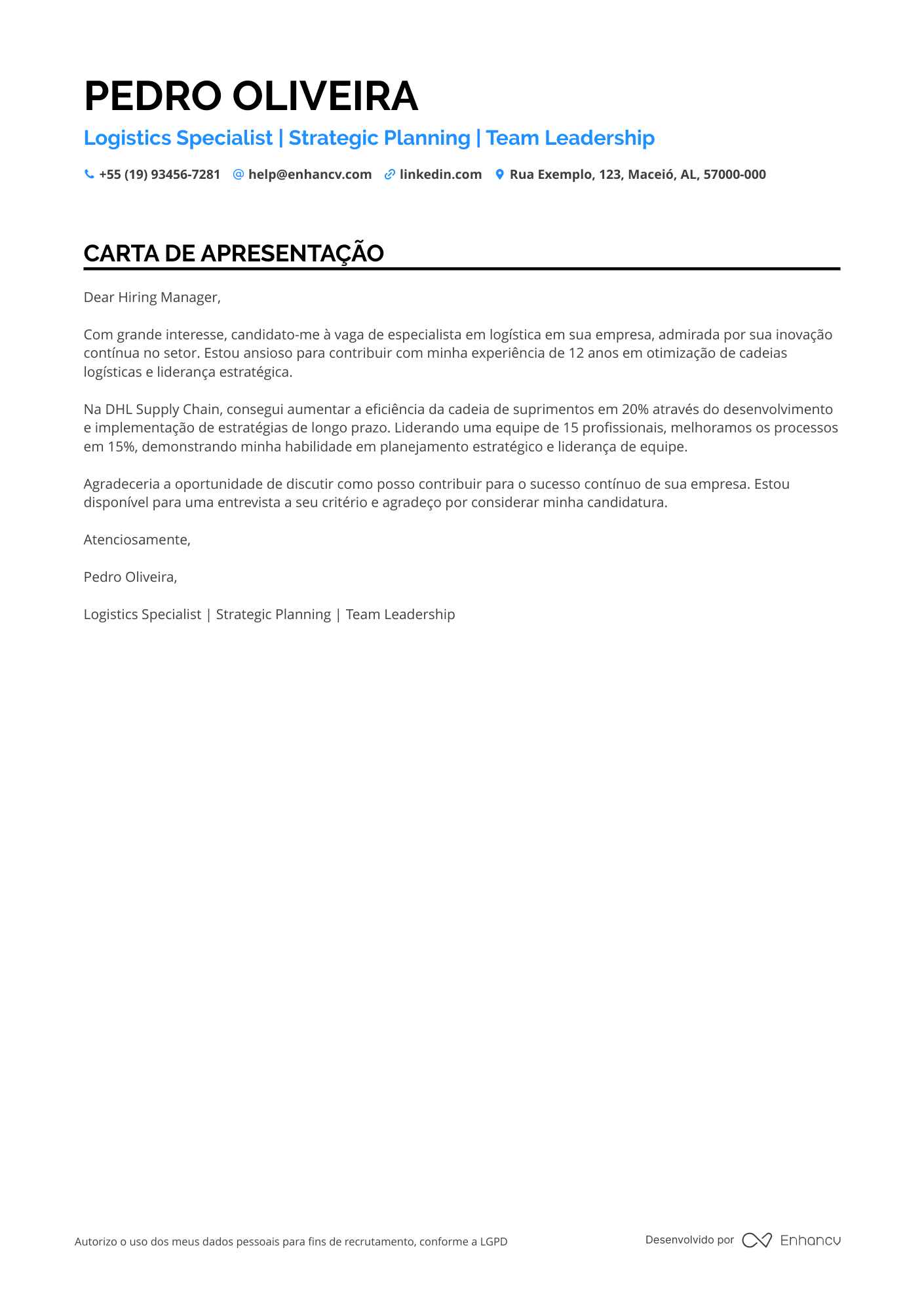 Diretor de Logística Resume Example
