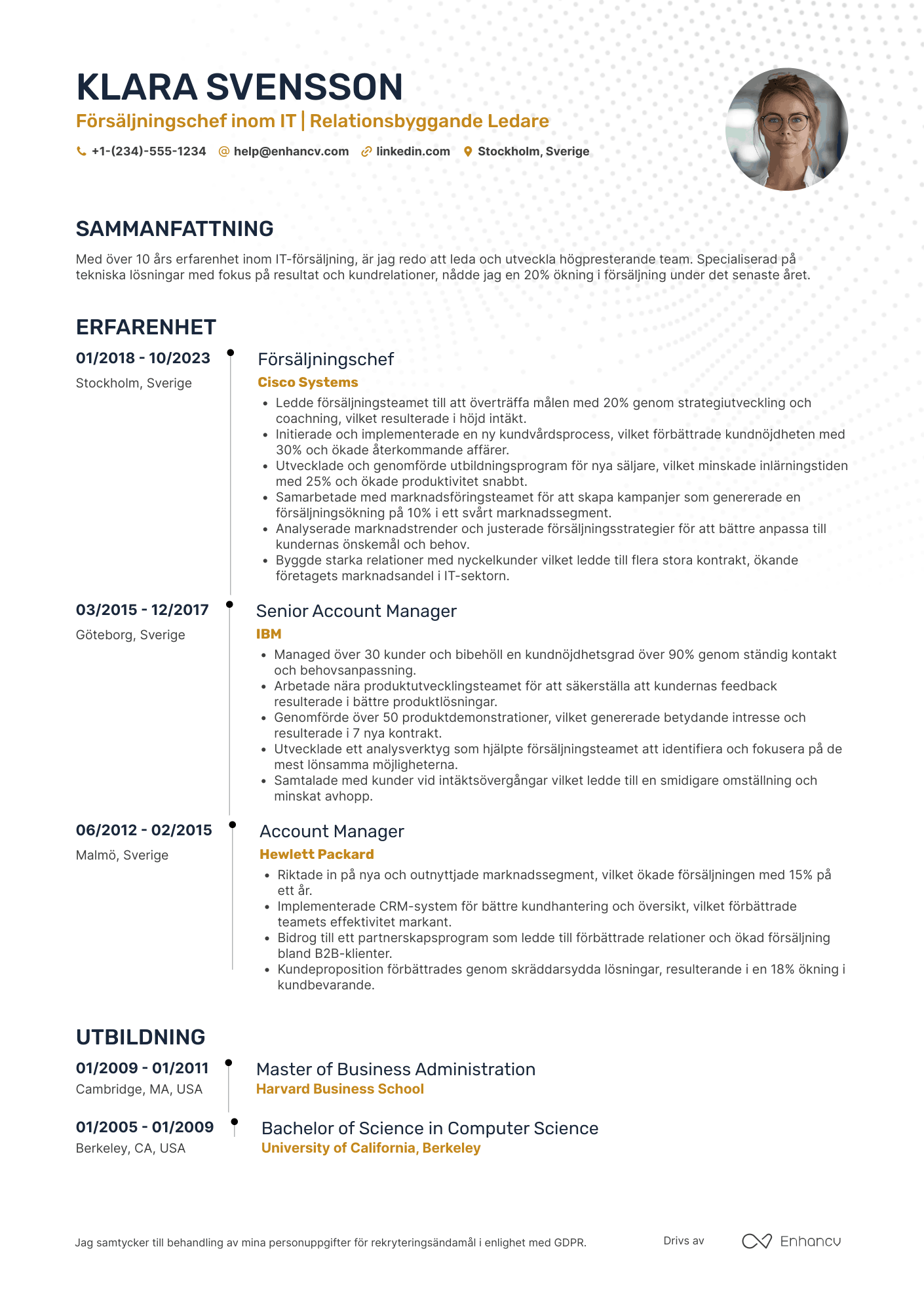 CV för Försäljningschef För IT sektorn Resume Example