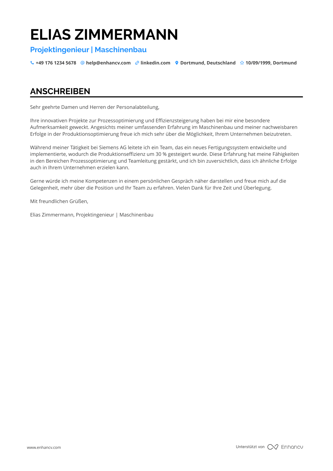 Ingenieur mit Berufserfahrung Resume Example