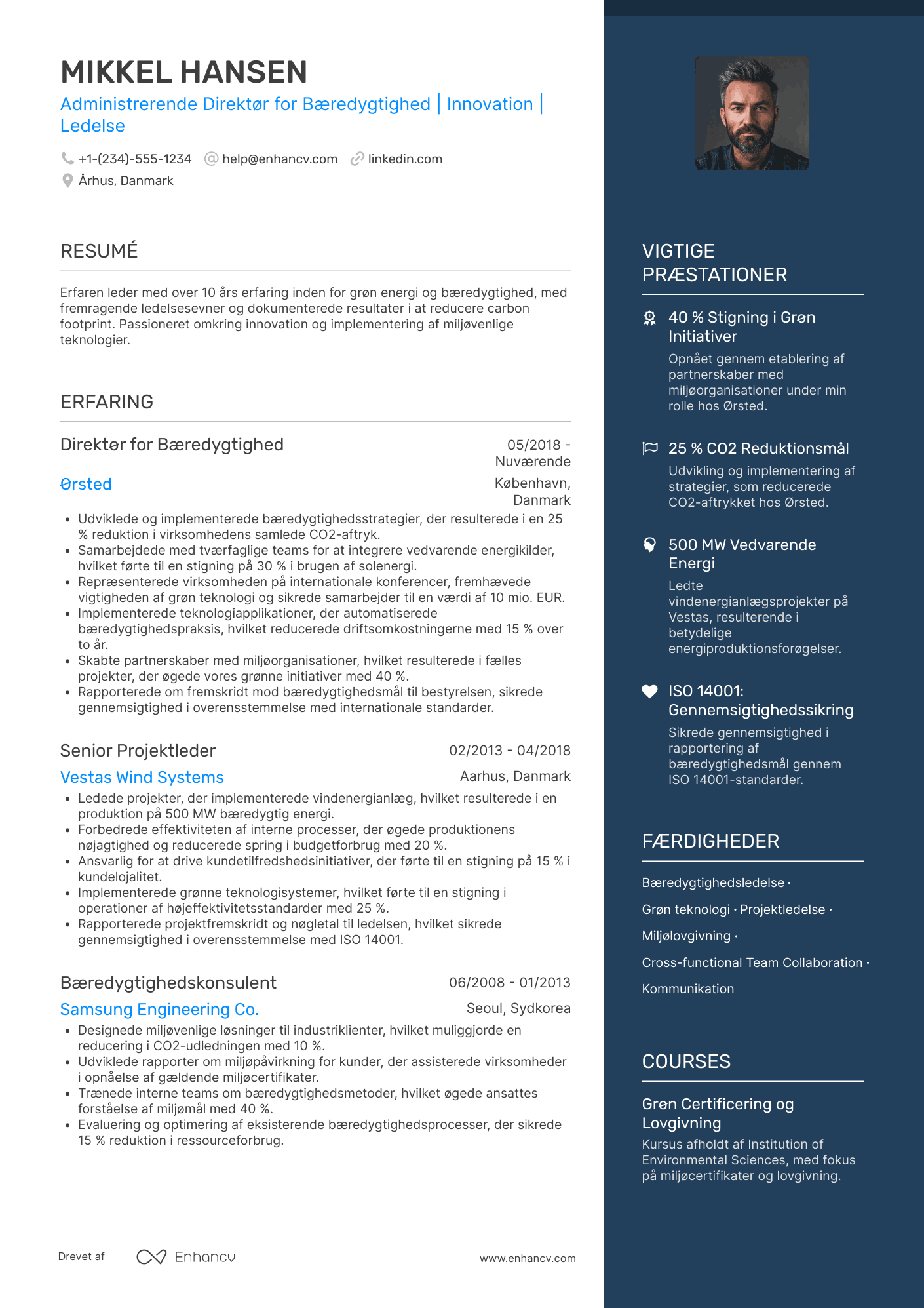 CV til Administrerende Direktør for Bærekraft Resume Example