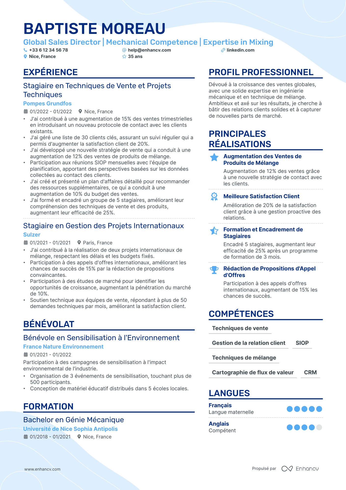 Directeur Commercial International Resume Example