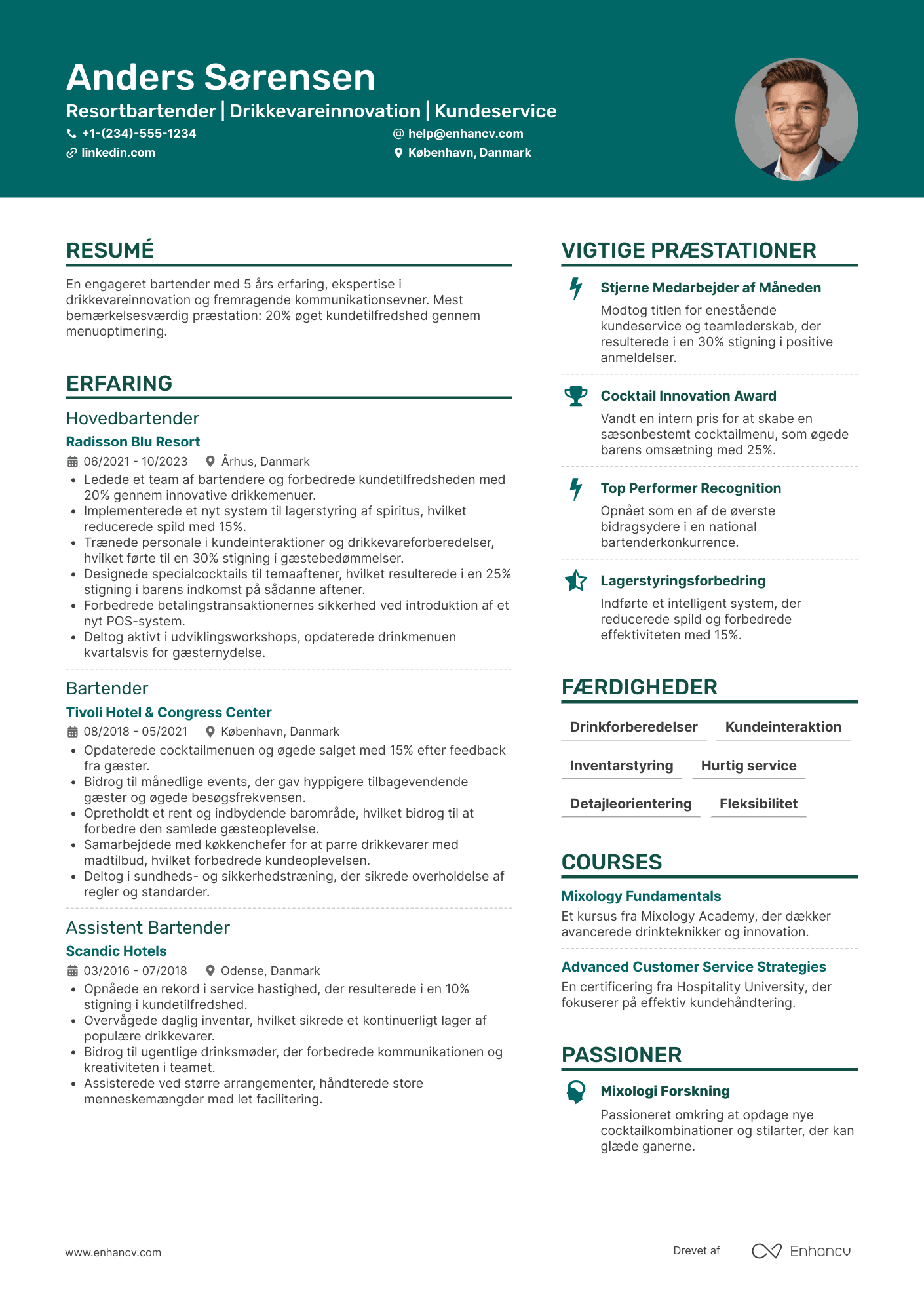 CV til Resortbartender Resume Example