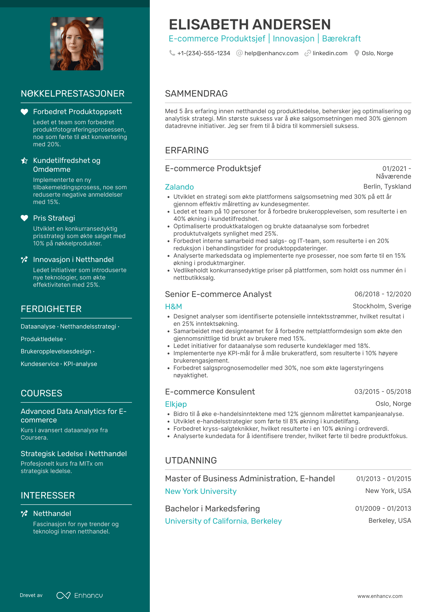 CV for E commerce Produktsjef Resume Example