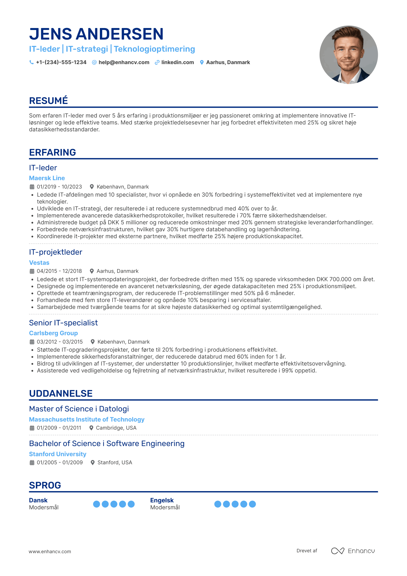 CV til IT leder i produktionsindustrien Resume Example