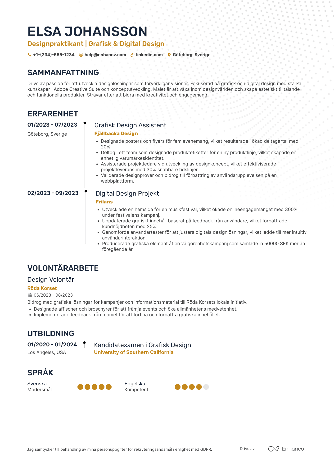 CV för Praktikant im Design Resume Example