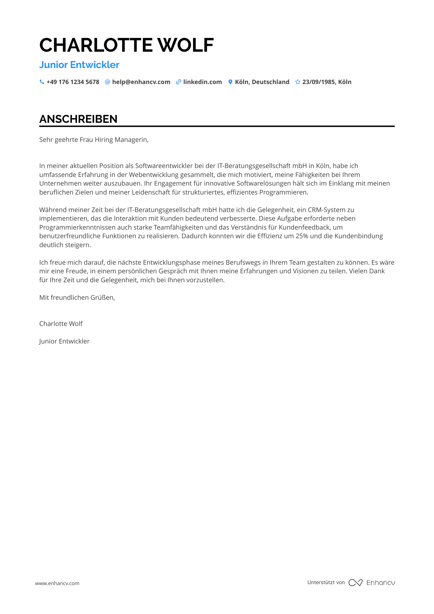 Junior Programmierer Resume Example