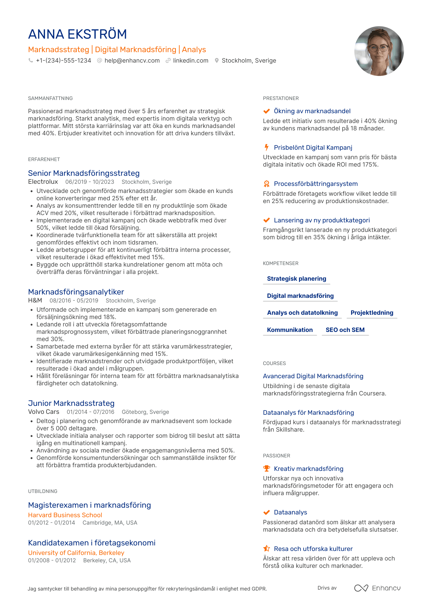 CV för Marknadsföringsstrategikonsult Resume Example