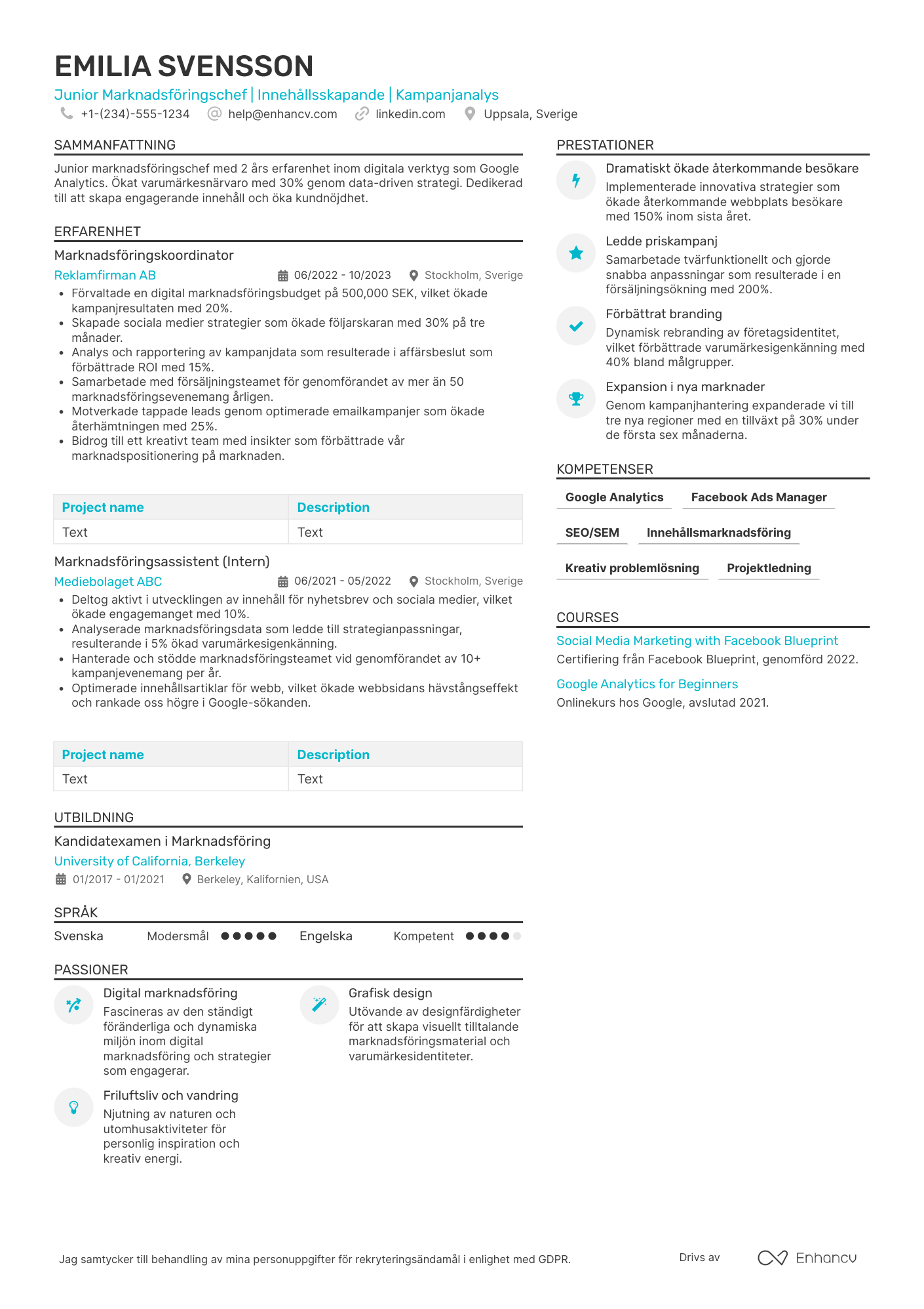 CV för Junior Marknadsföringschef Resume Example