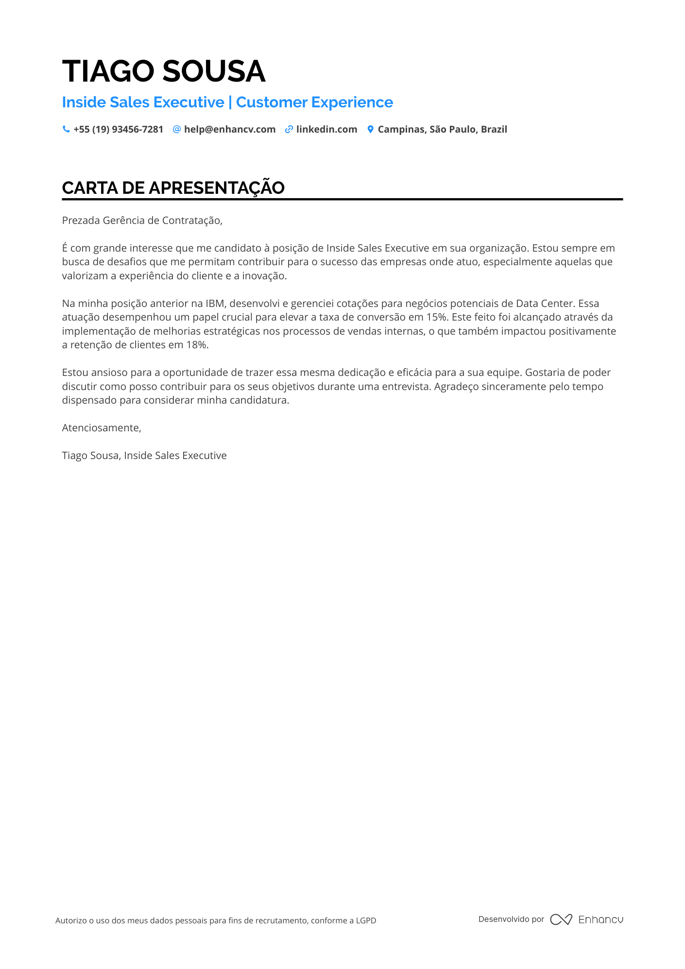 Representante de vendas Júnior Resume Example