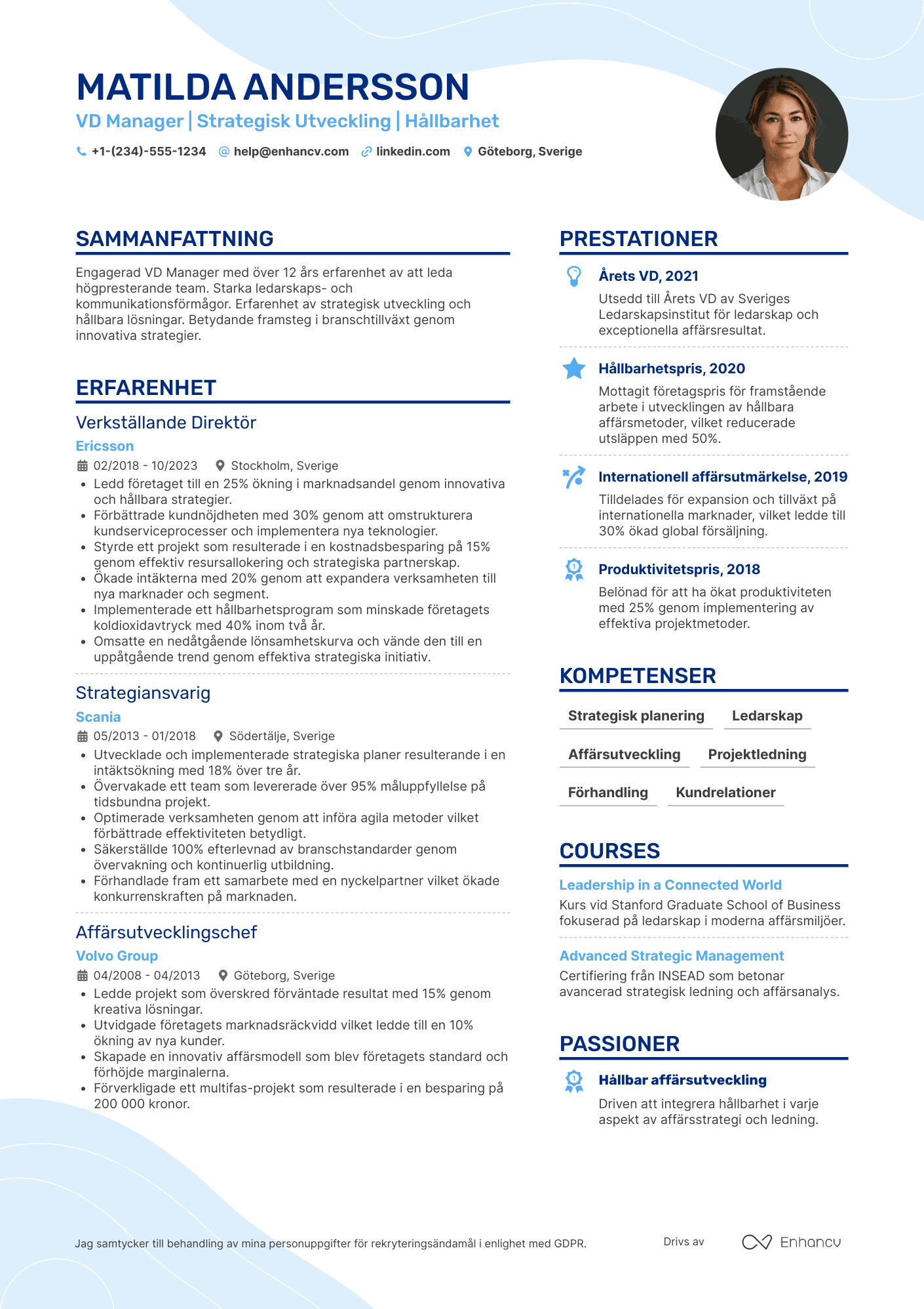 CV för VD Manager Resume Example