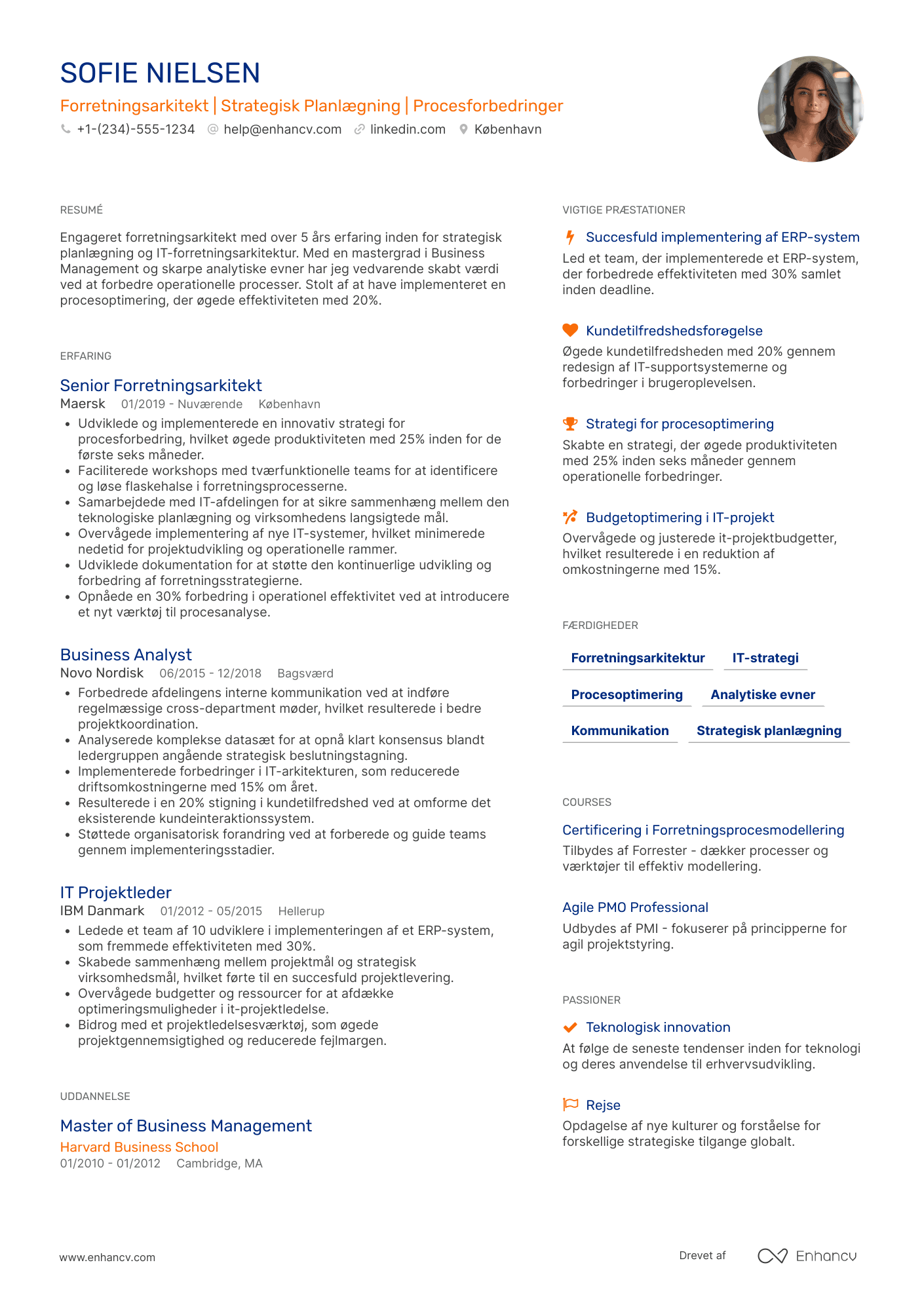 CV til Forretningsarkitekt Resume Example