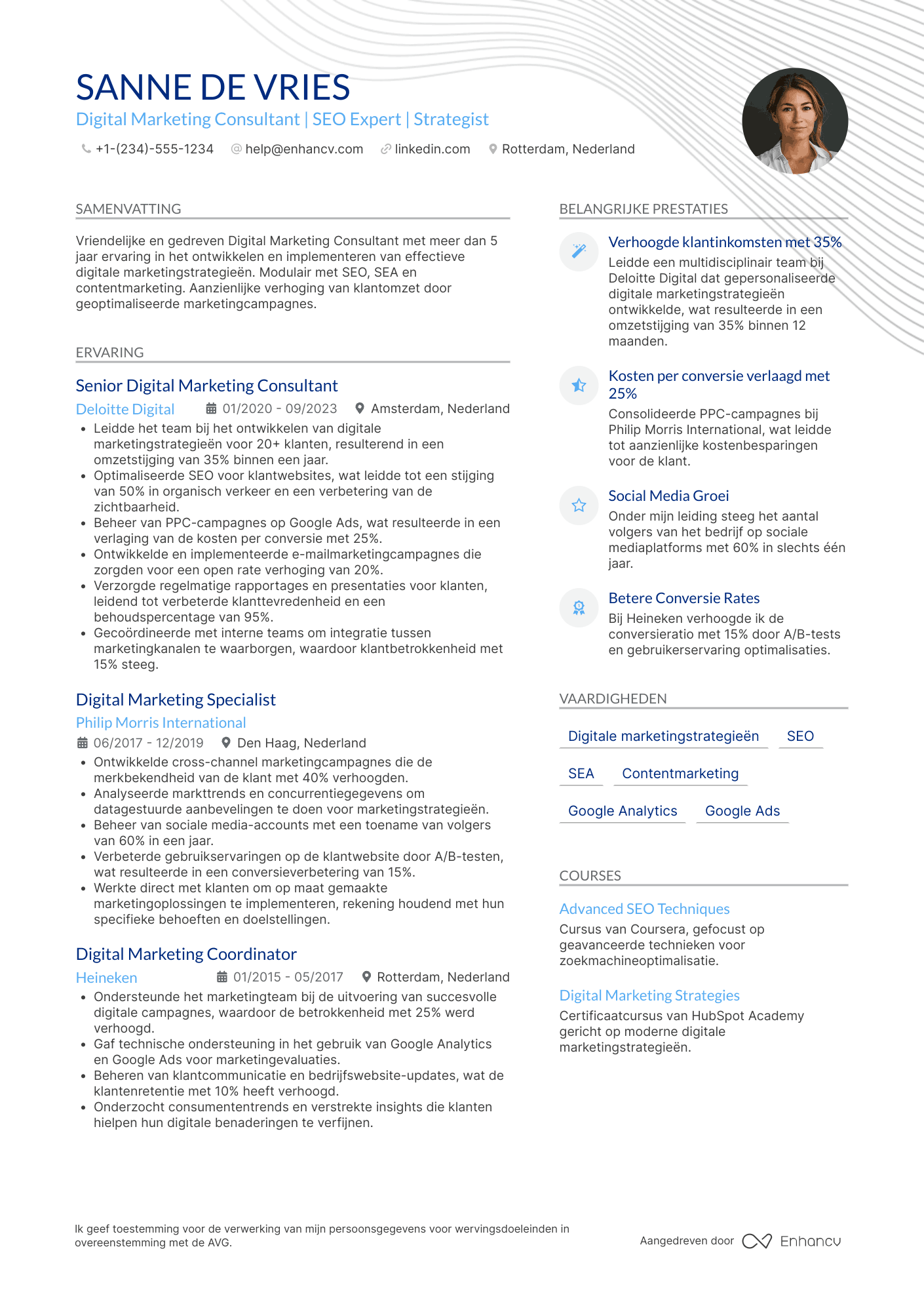 CV voor Digital Marketing Consultant Resume Example
