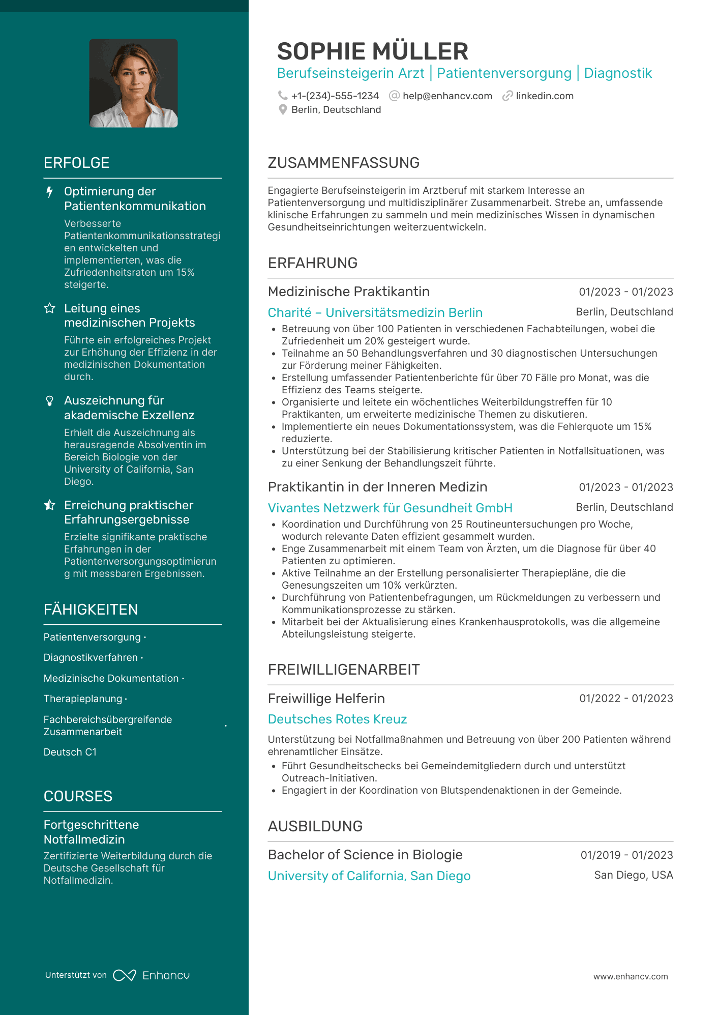 Lebenslauf Berufseinsteiger Arzt Resume Example