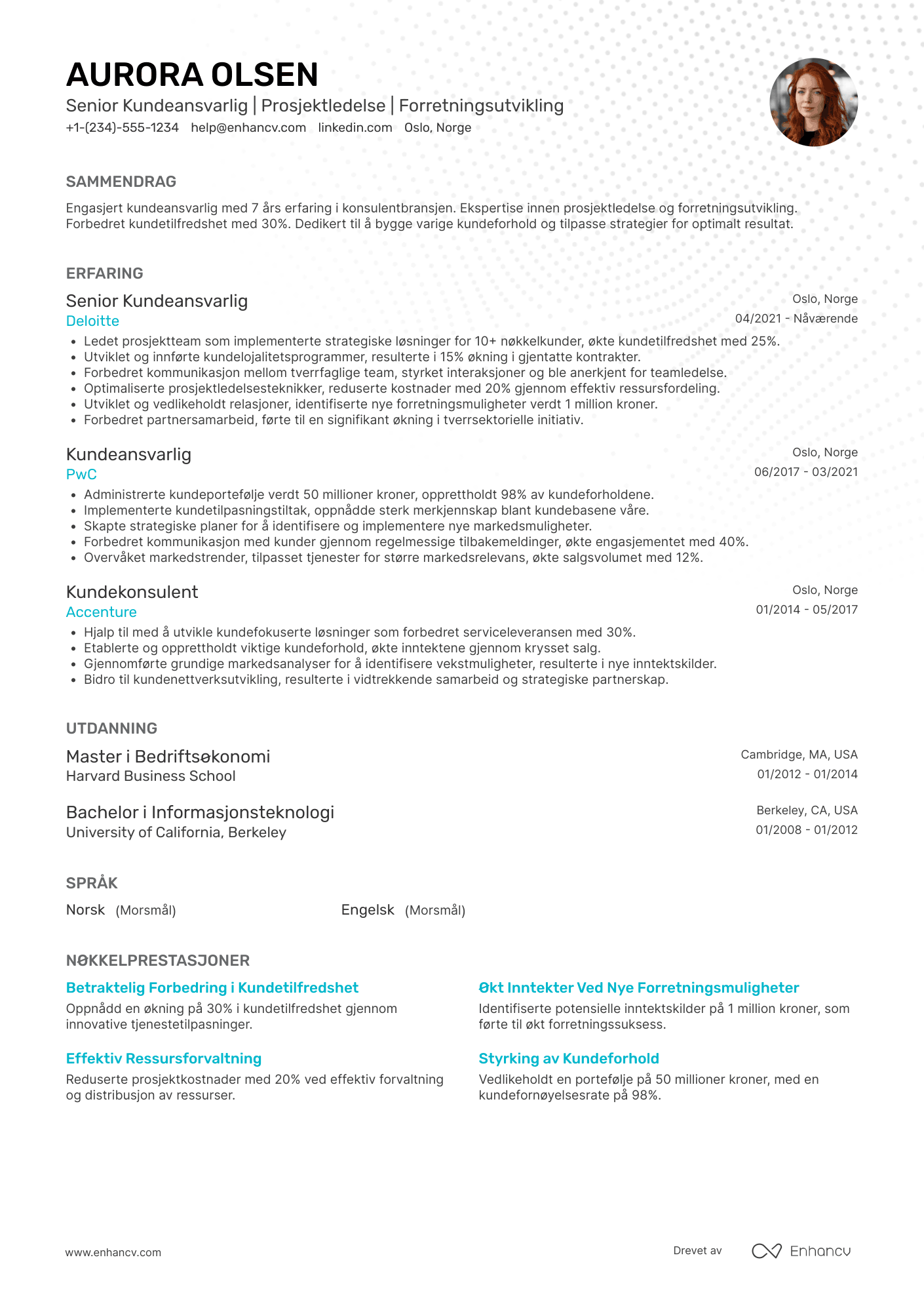 CV for Senior Kundeansvarlig Resume Example