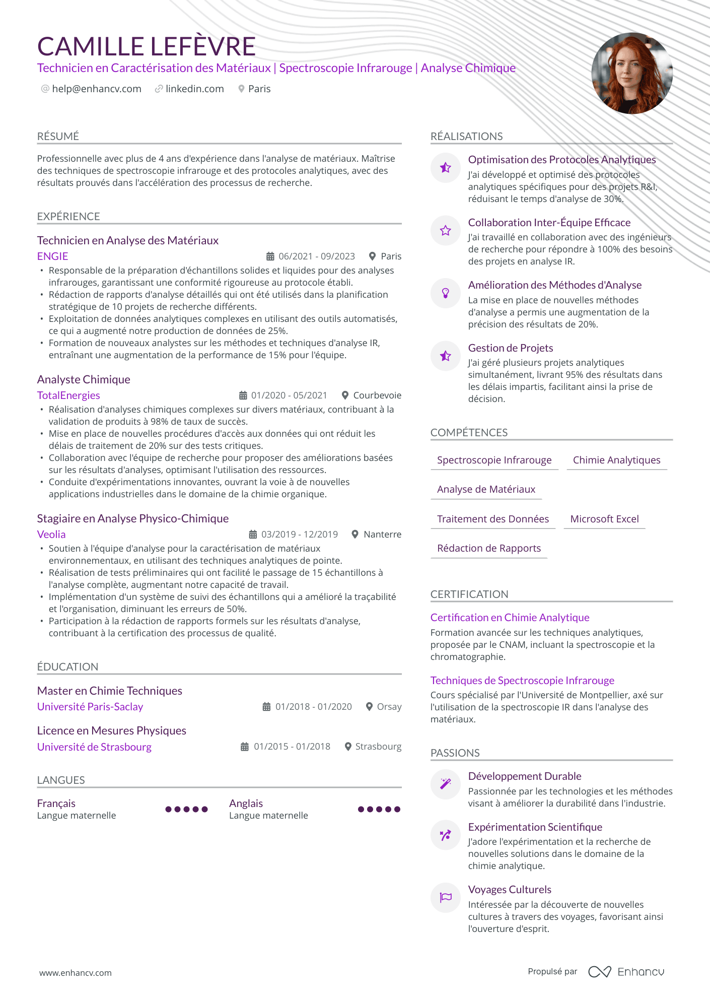 Alternance Licence PRO Resume Example