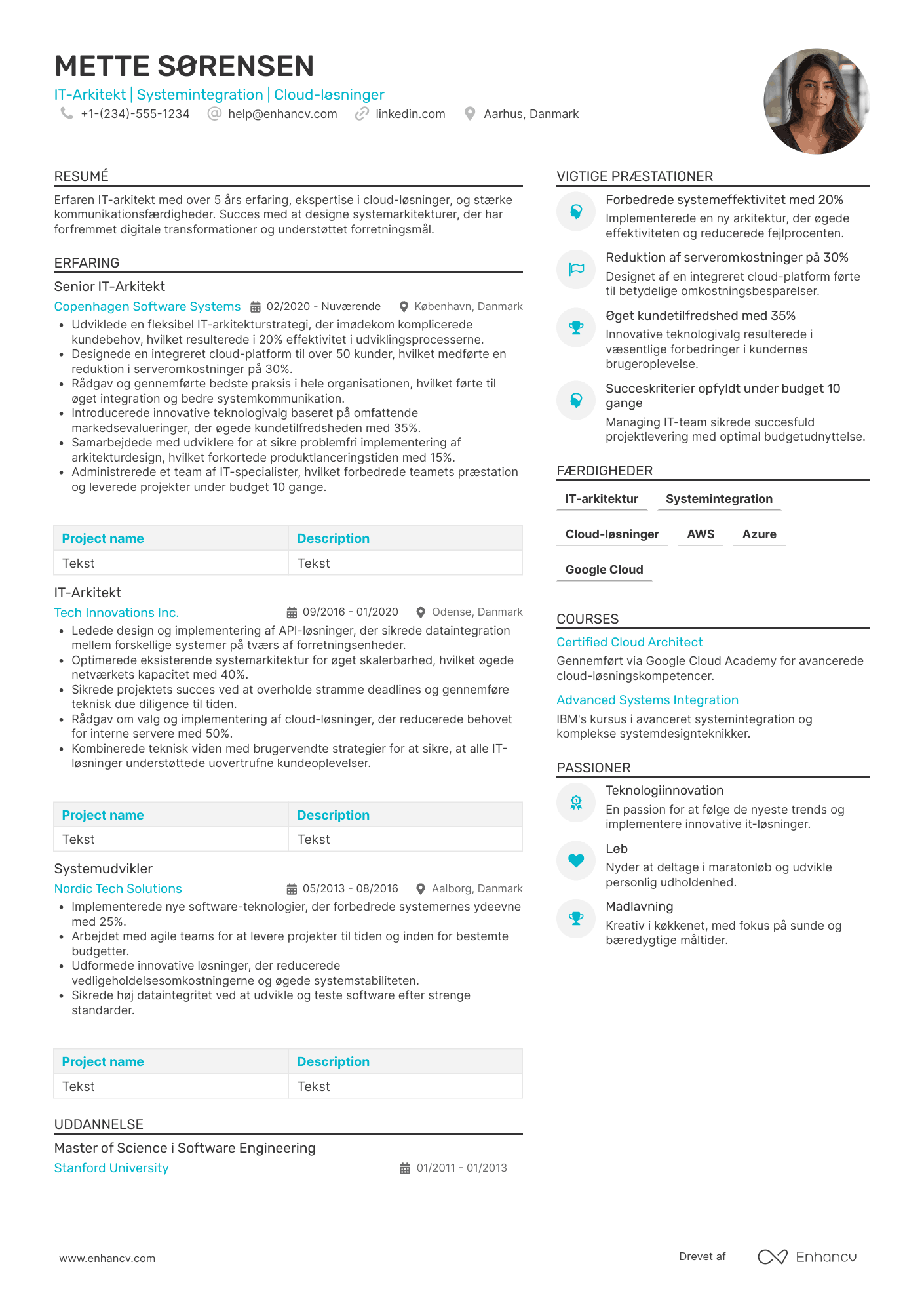 CV til It Arkitekt Resume Example